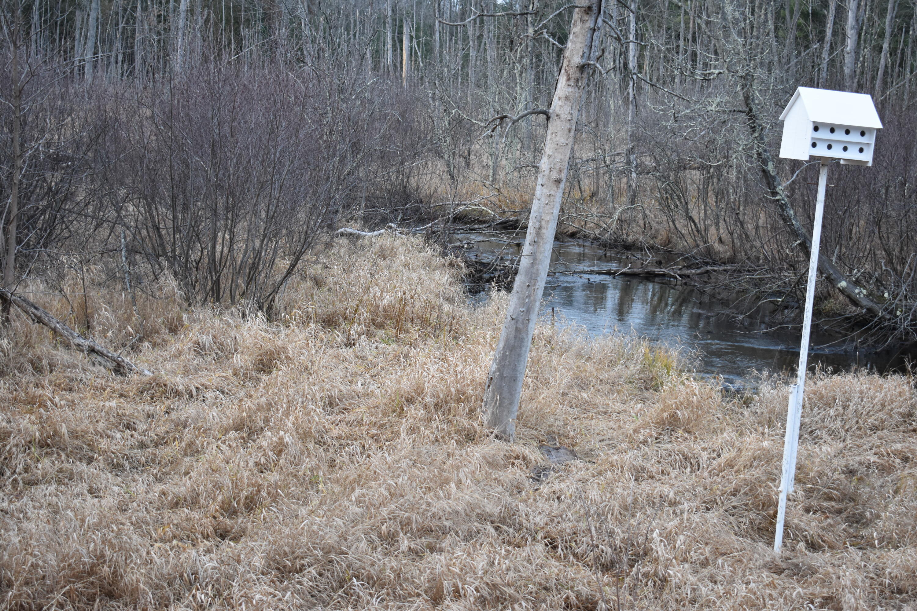 646 3 Mile Road Property Photo 3