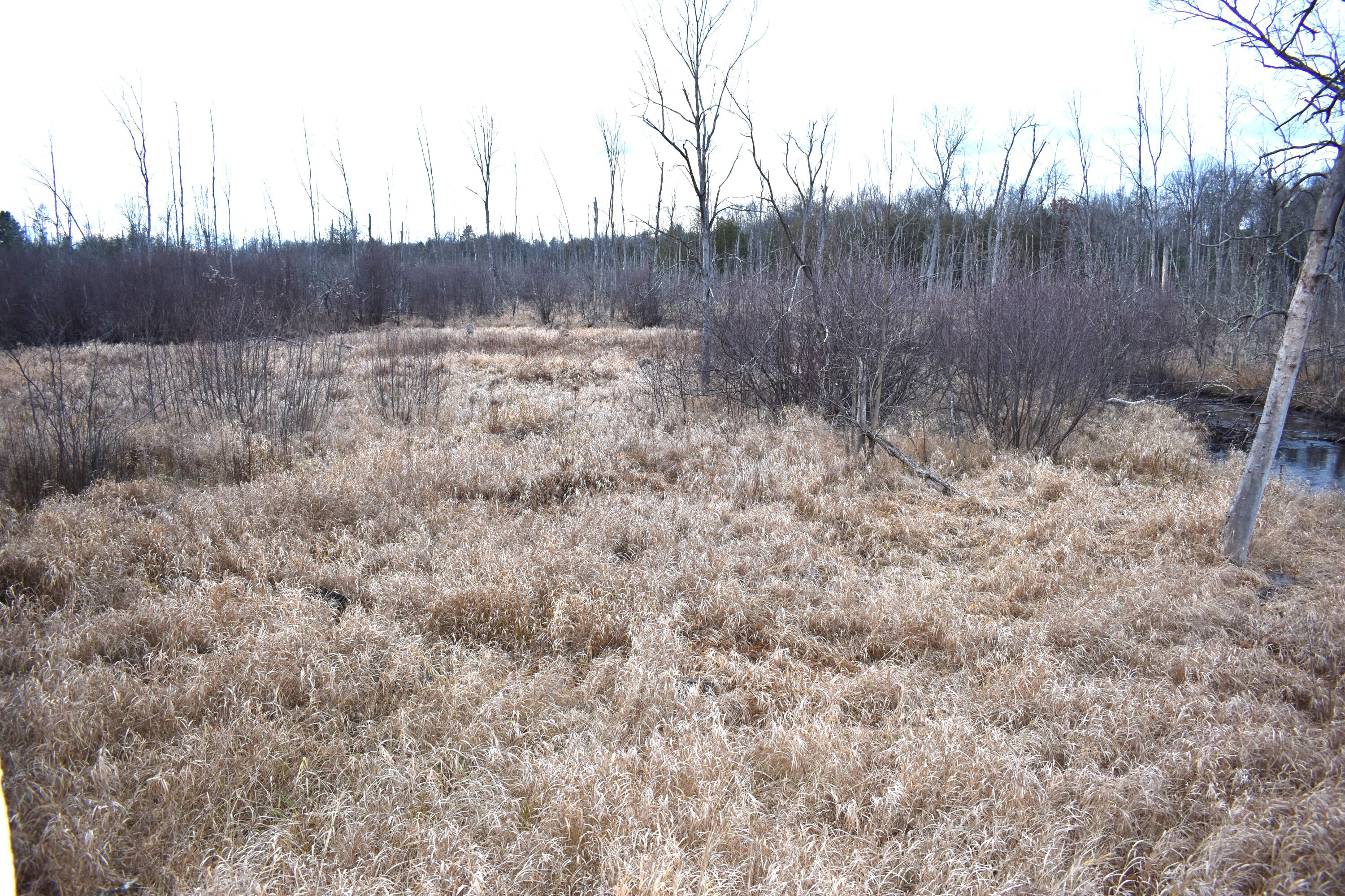 646 3 Mile Road Property Photo 4