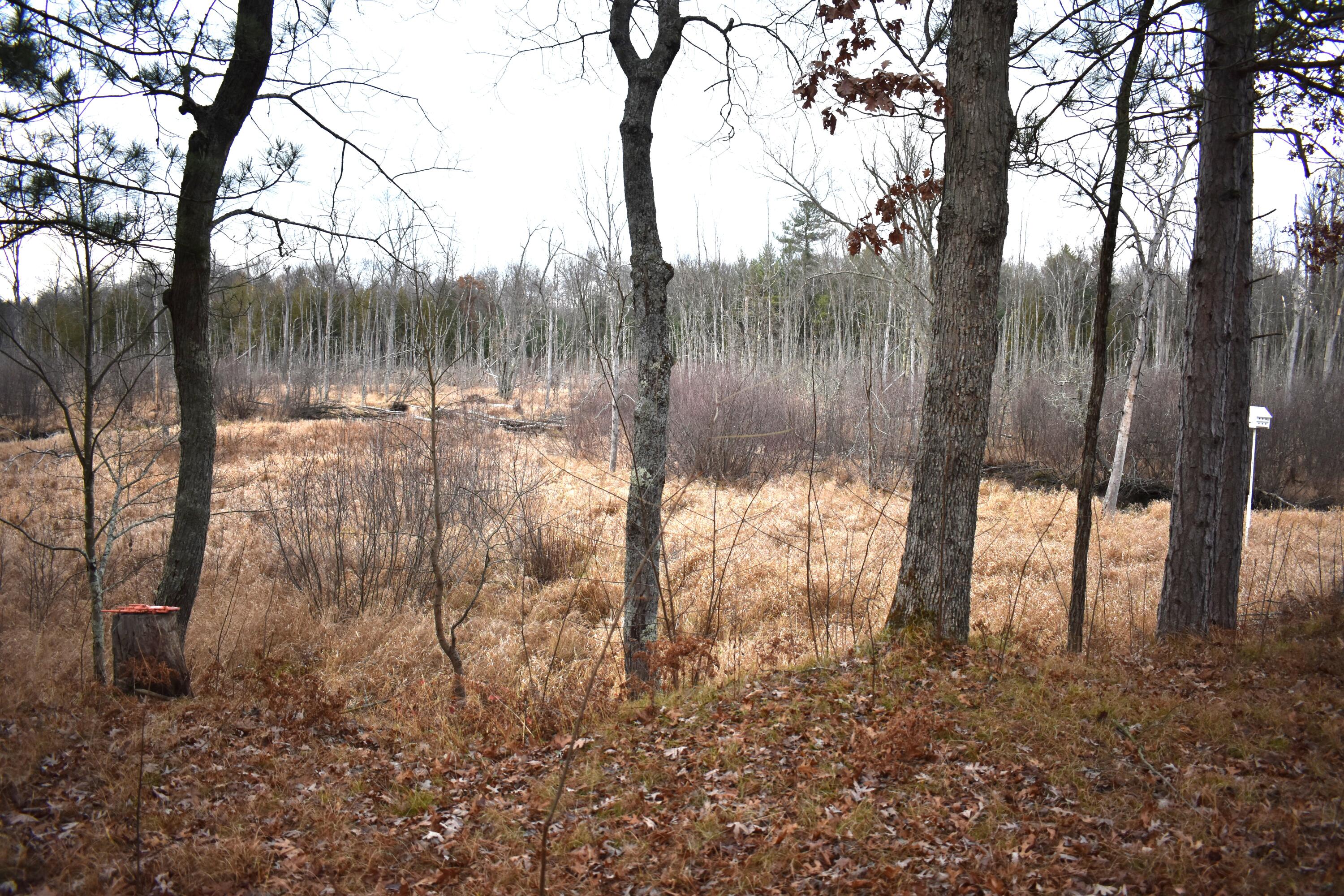 646 3 Mile Road Property Photo 5