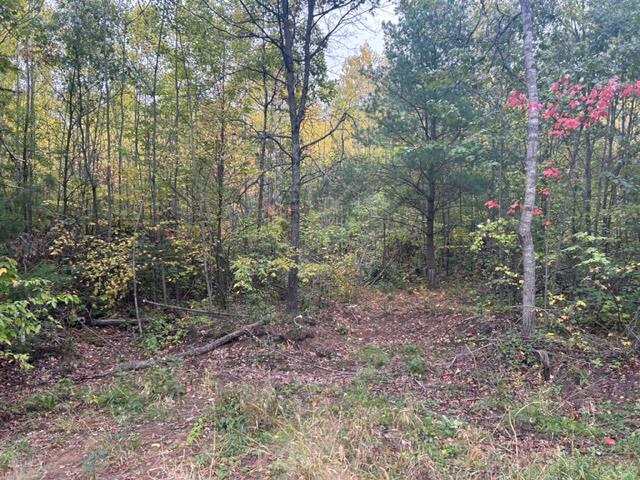 10380 90th Avenue Property Photo 4