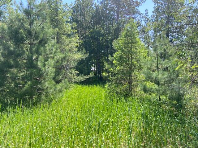 Us-131 Highway Property Photo 4