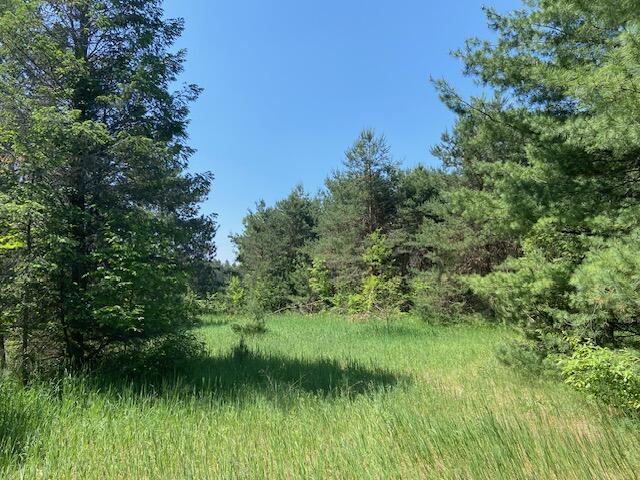 Us-131 Highway Property Photo 5