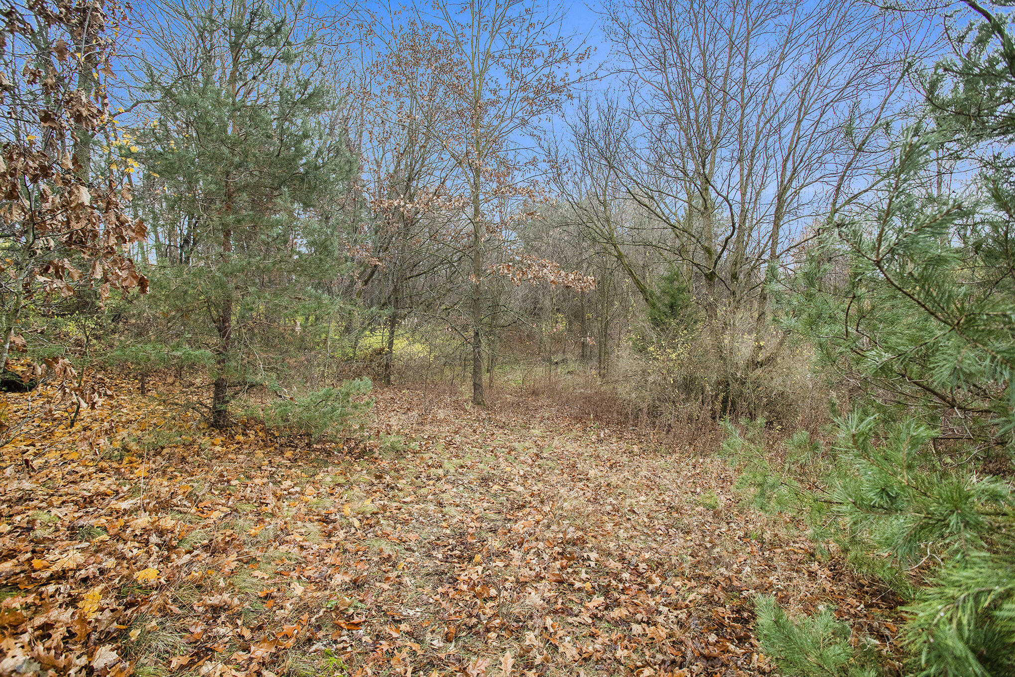 V/l E Michigan Avenue Property Photo 16