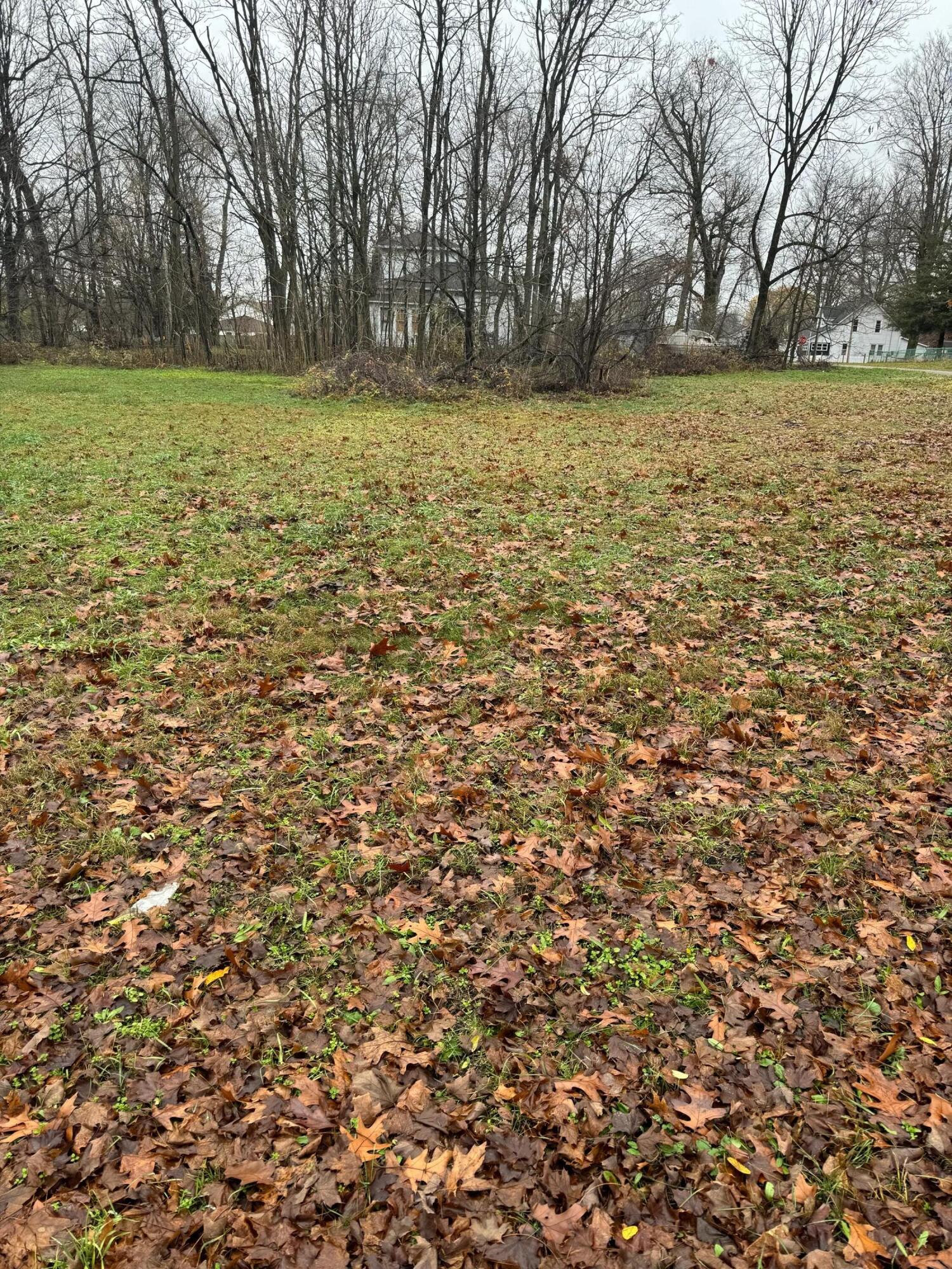 V/l Mulberry Street Property Photo 3