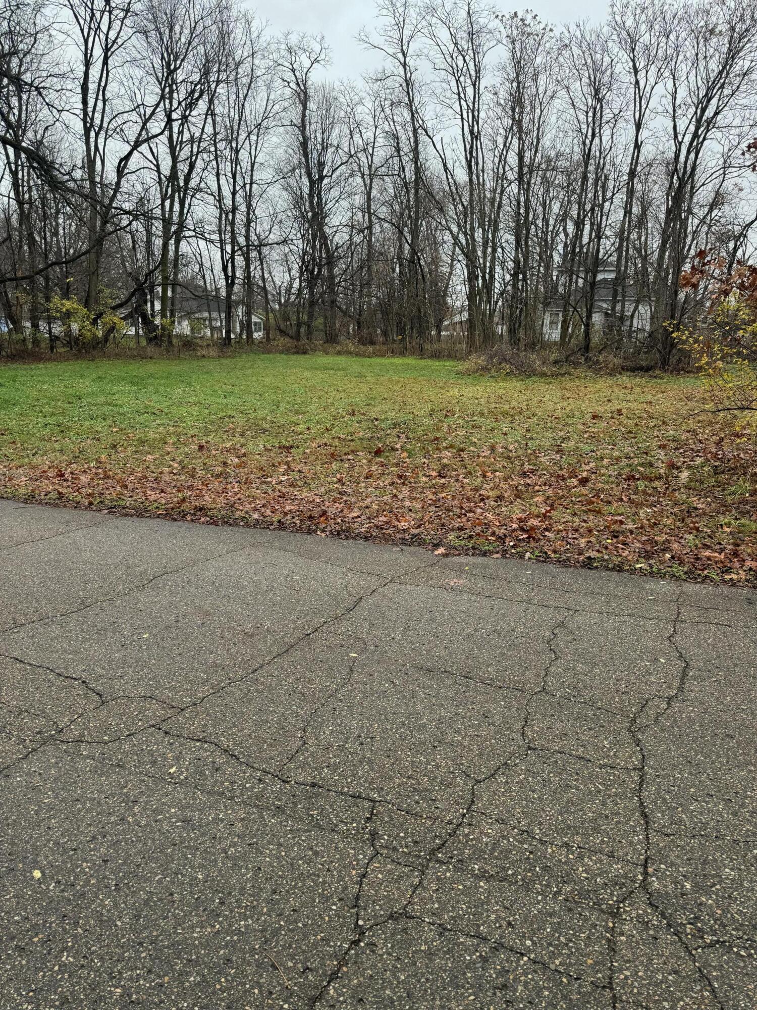 V/l Mulberry Street Property Photo 4