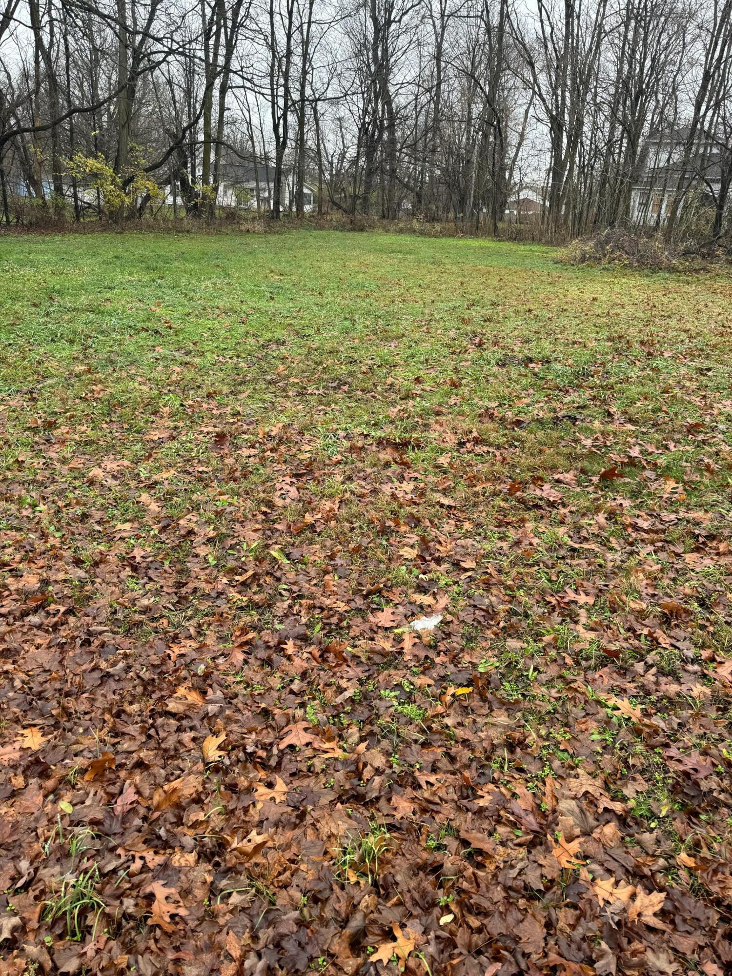 V/l Mulberry Street Property Photo 5