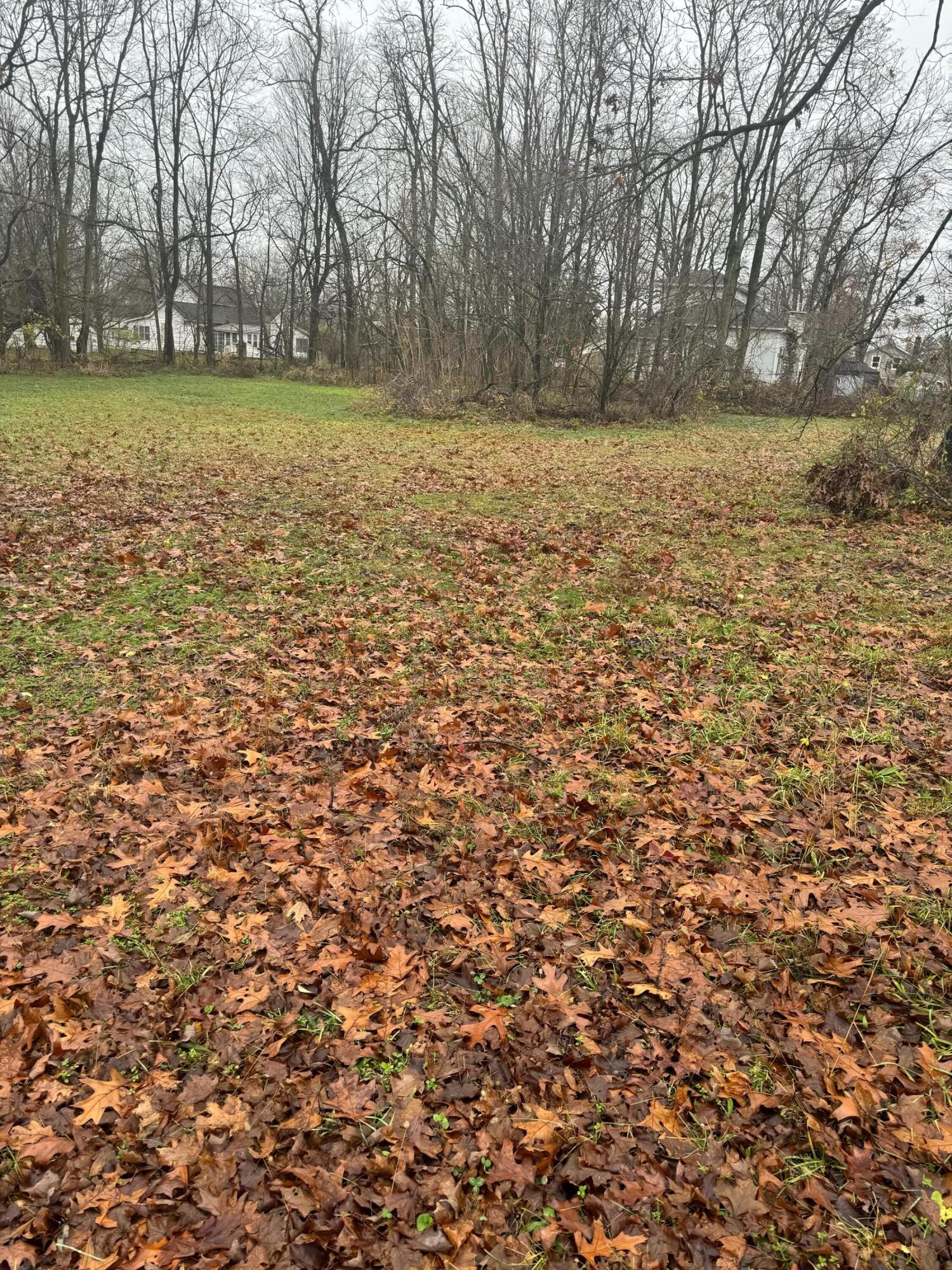 V/l Mulberry Street Property Photo 6