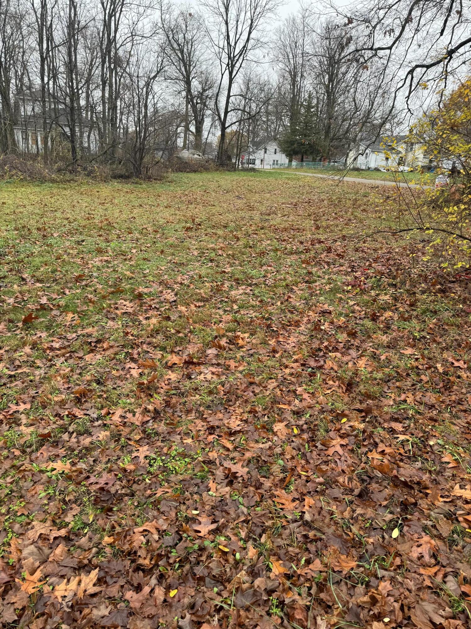 V/l Mulberry Street Property Photo 8