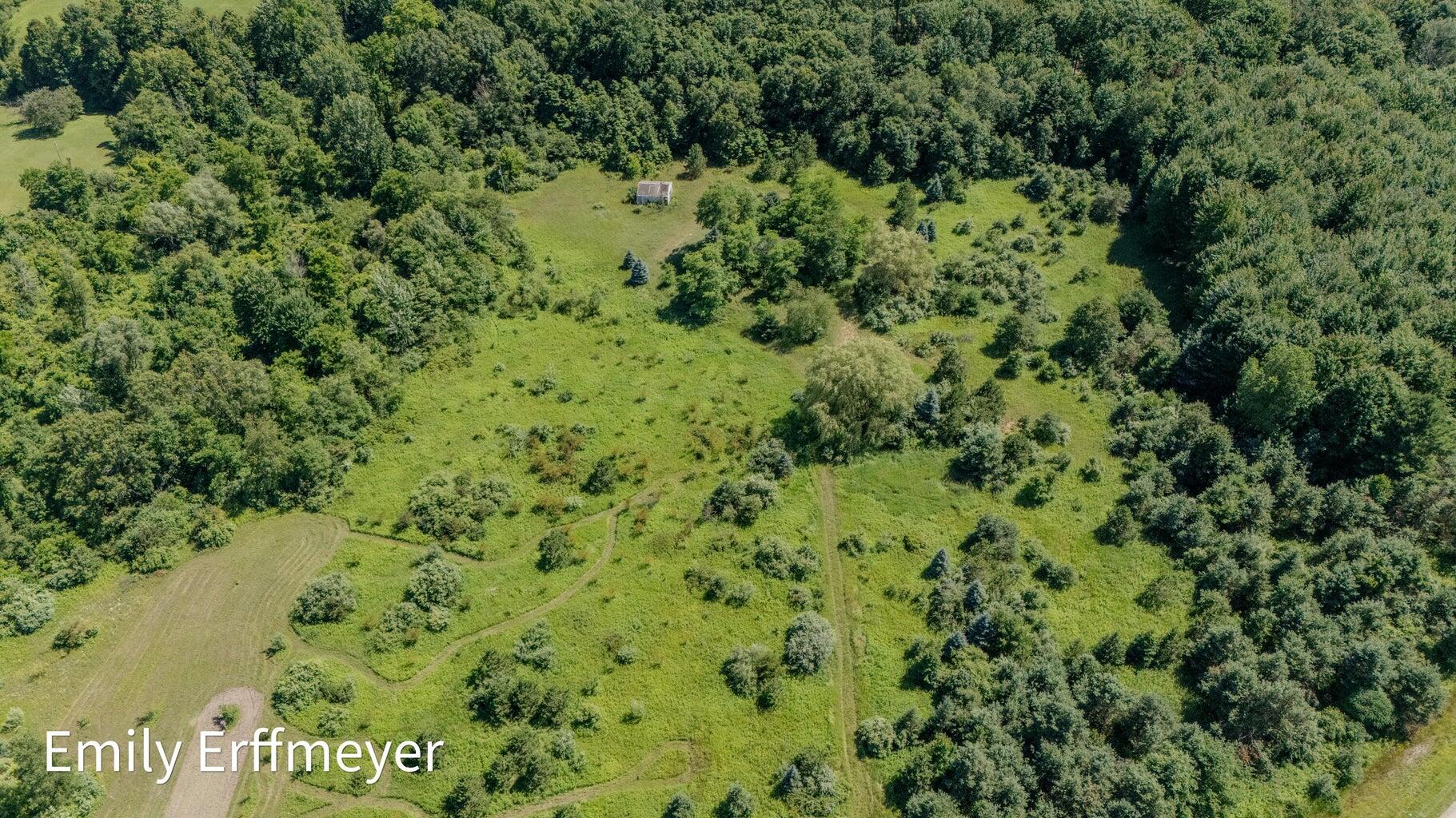9260 Holton Road Property Photo 9