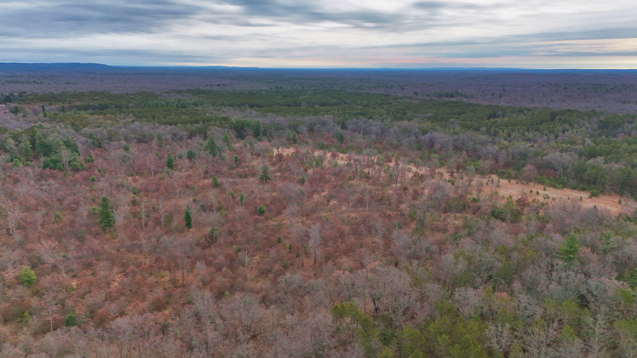 3726 N Custer Road Property Photo 5