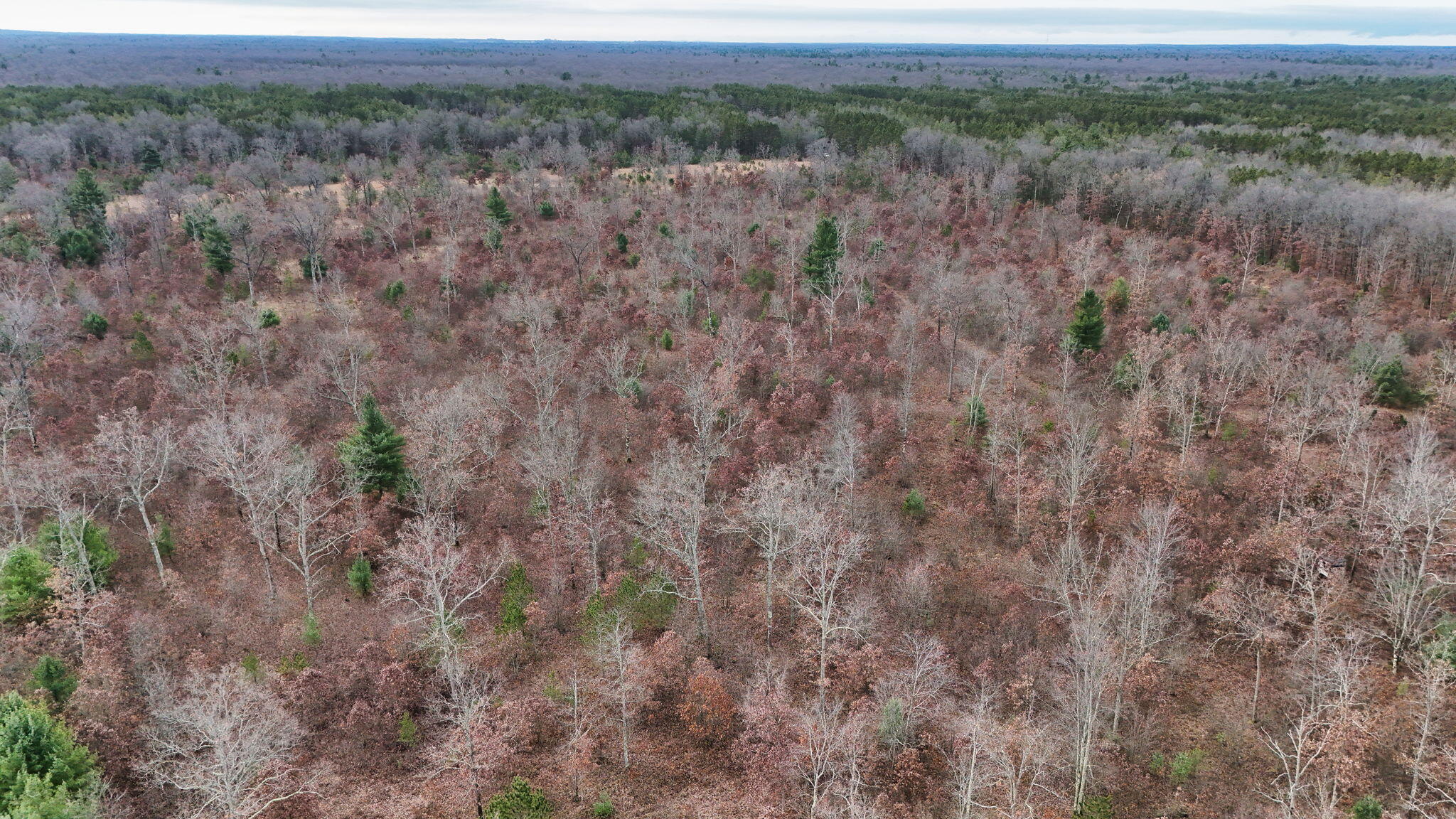 3726 N Custer Road Property Photo 6