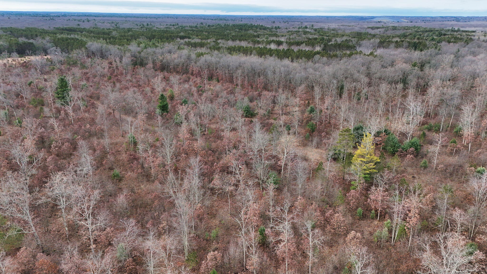 3726 N Custer Road Property Photo 7