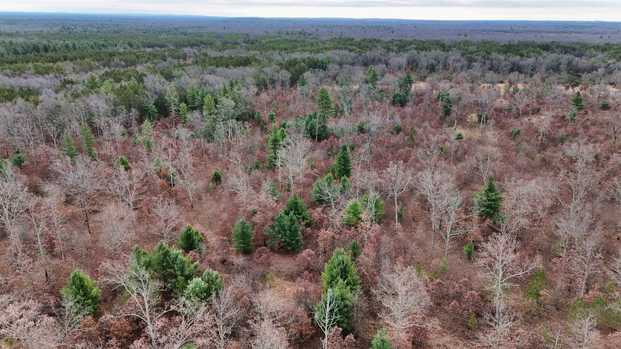 3726 N Custer Road Property Photo 8
