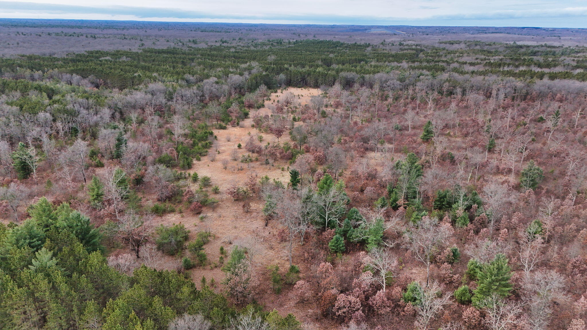 3726 N Custer Road Property Photo 9