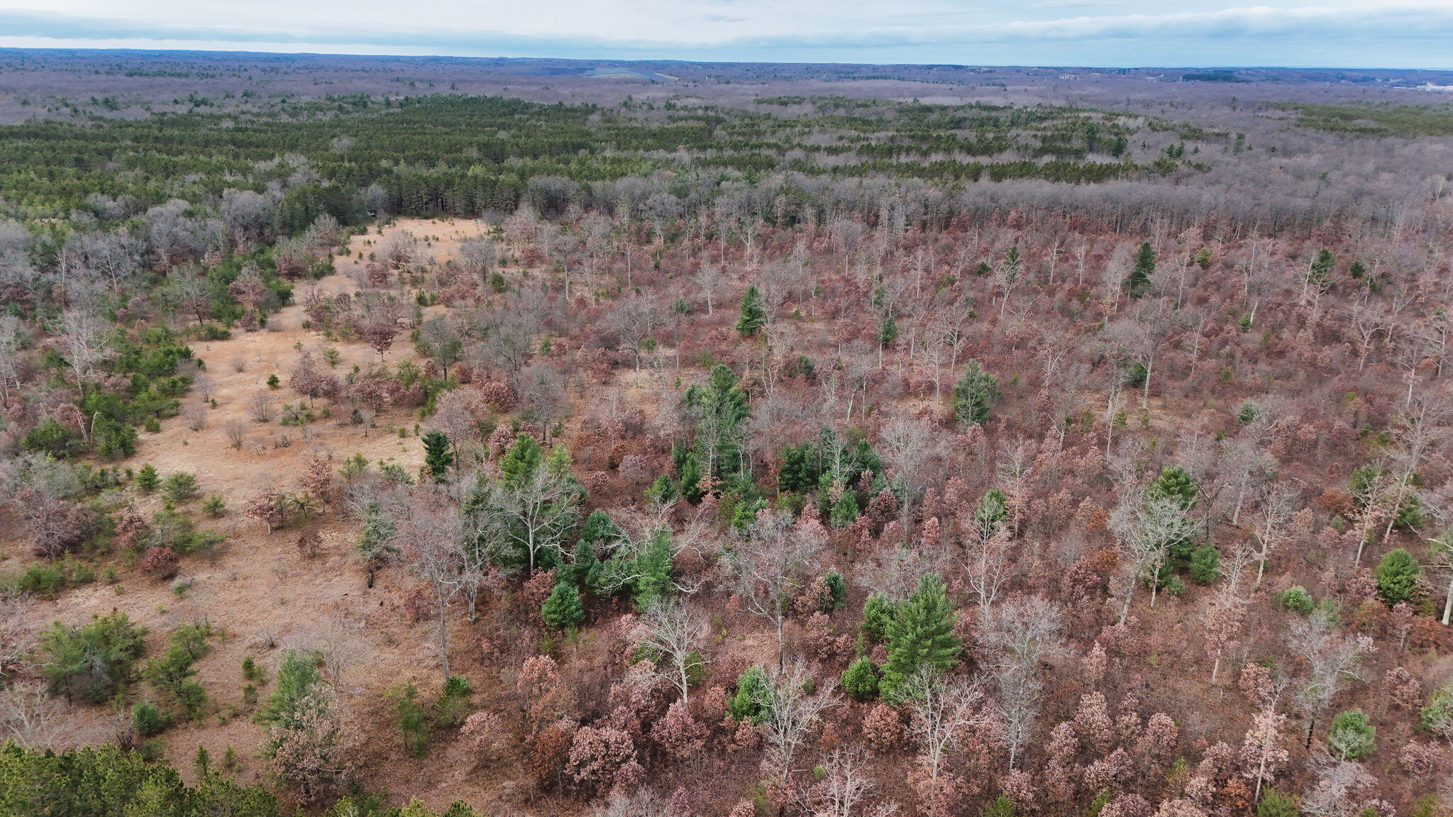 3726 N Custer Road Property Photo 10