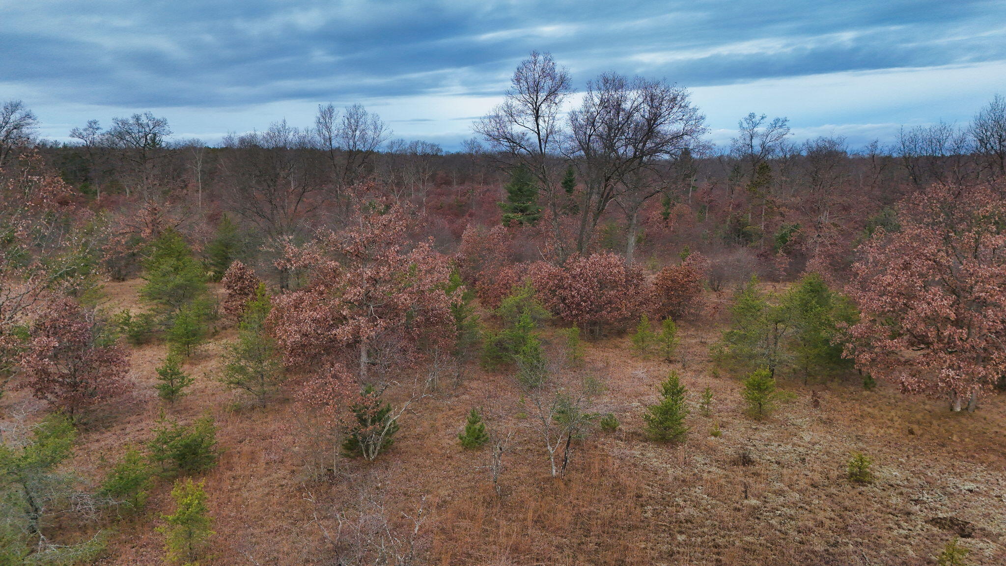 3726 N Custer Road Property Photo 12