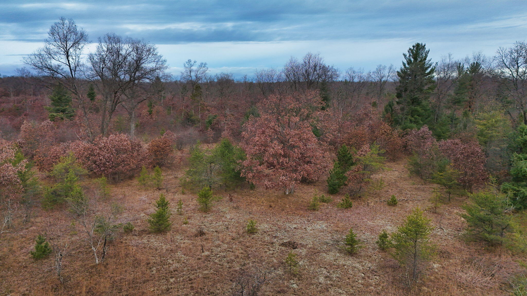 3726 N Custer Road Property Photo 13