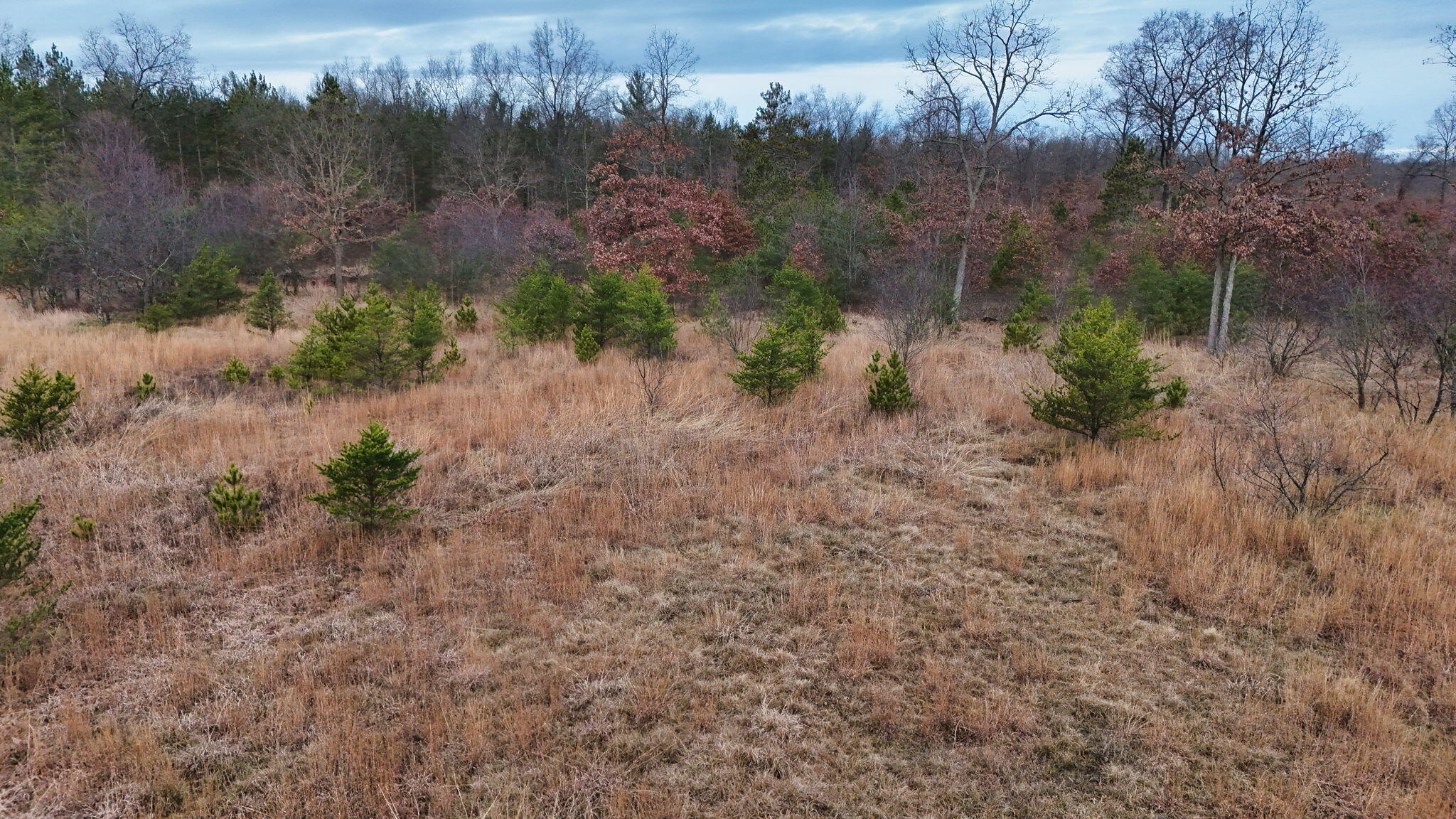 3726 N Custer Road Property Photo 20