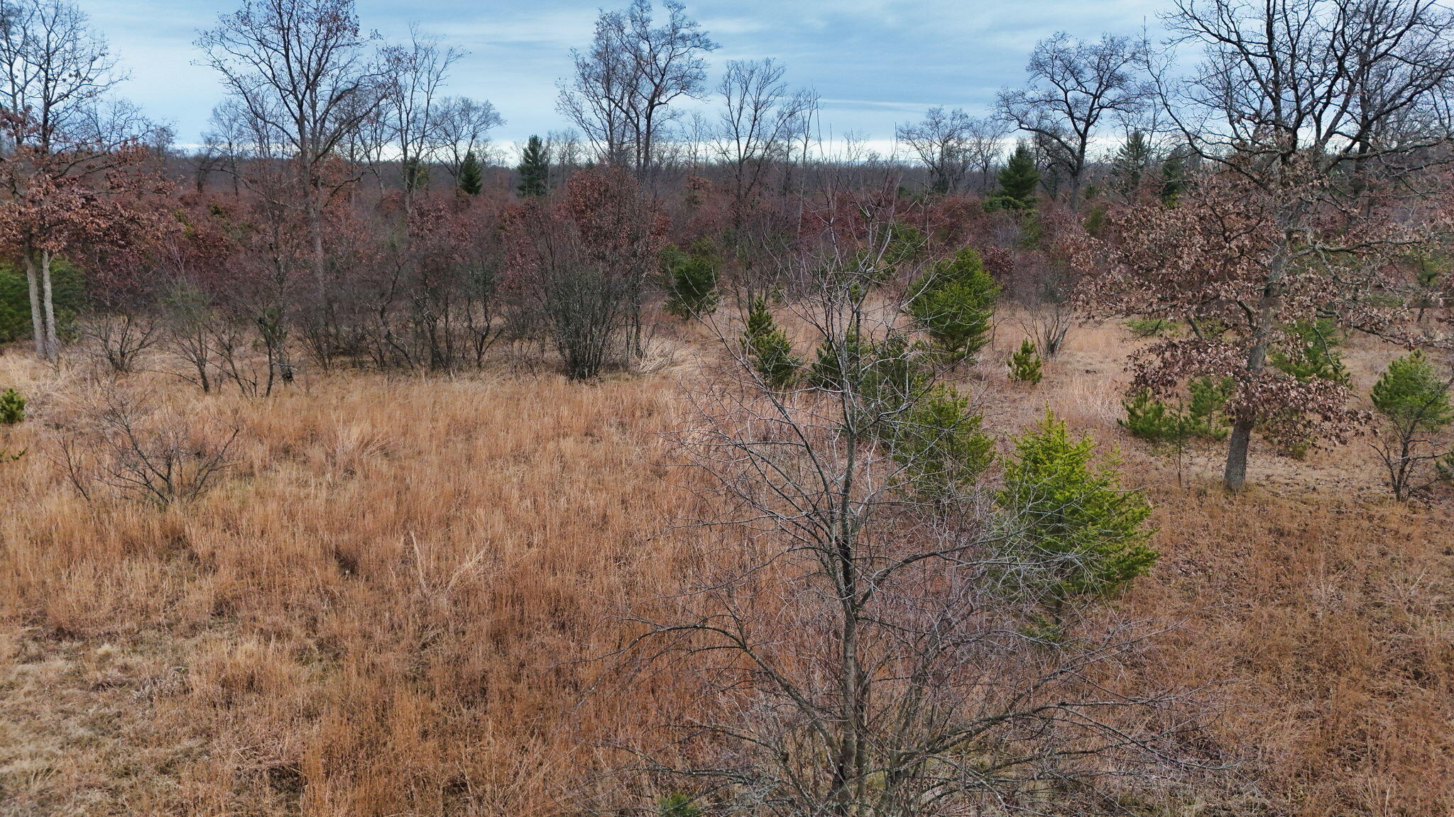 3726 N Custer Road Property Photo 21