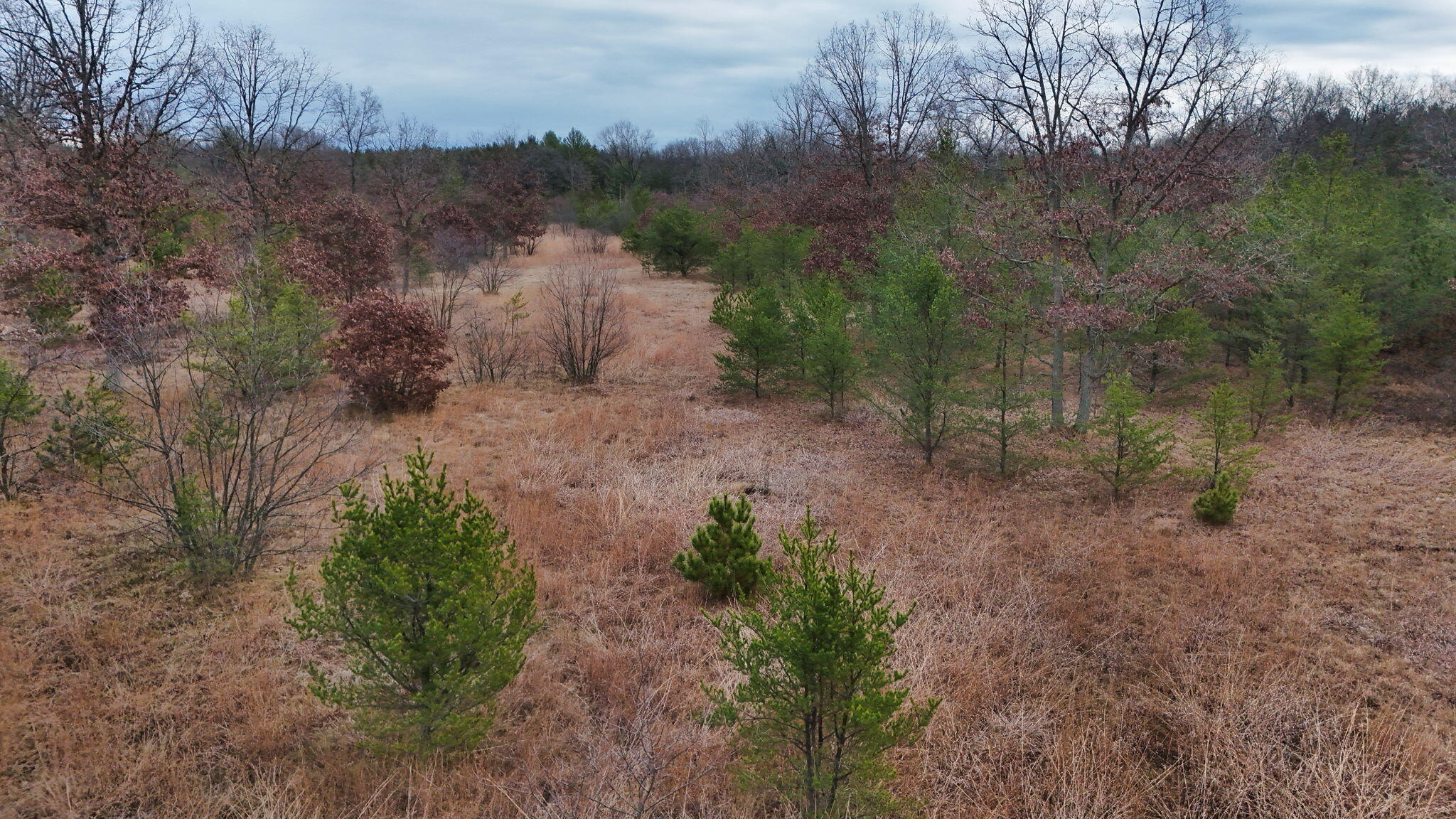 3726 N Custer Road Property Photo 22