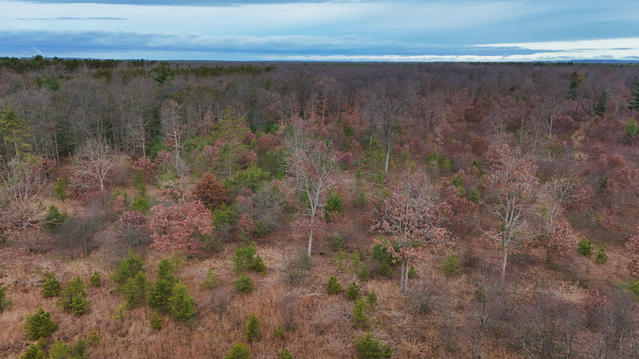 3726 N Custer Road Property Photo 24