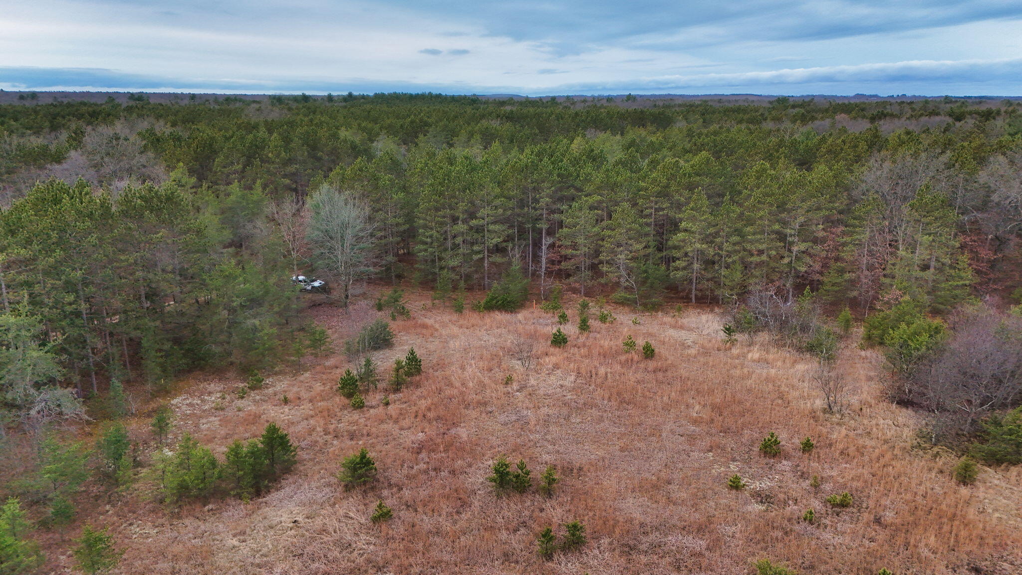 3726 N Custer Road Property Photo 25