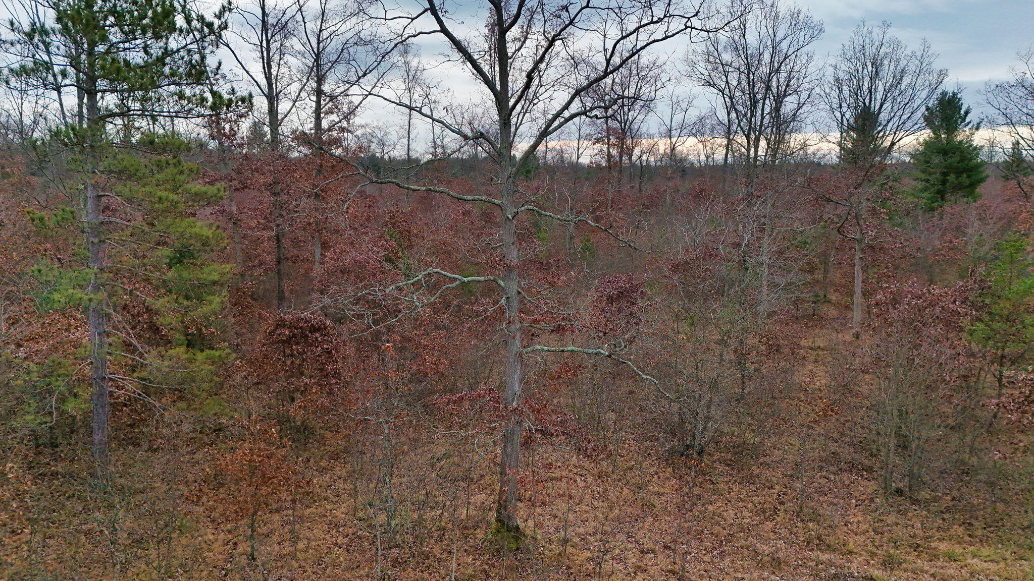 3726 N Custer Road Property Photo 30