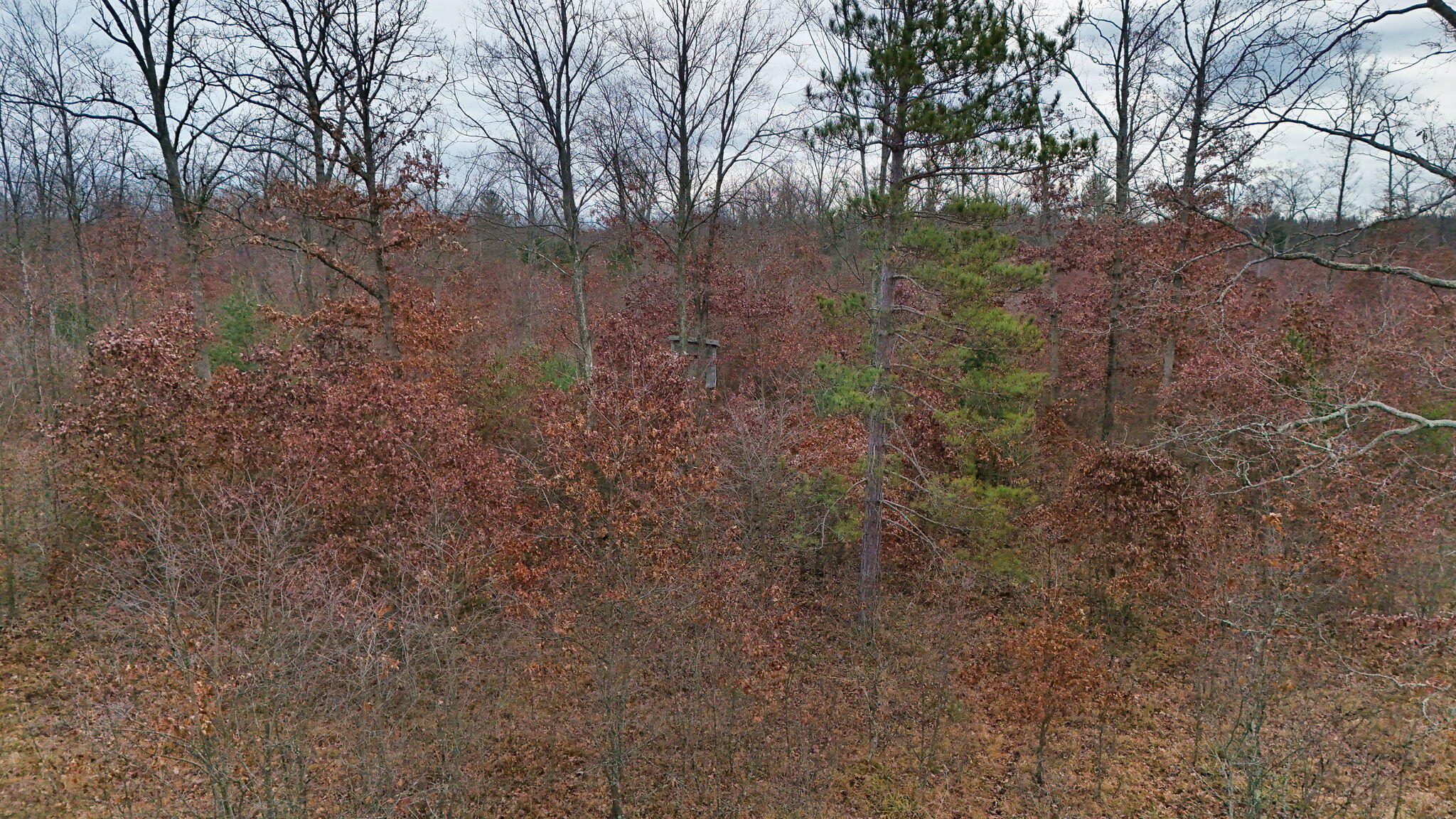 3726 N Custer Road Property Photo 31