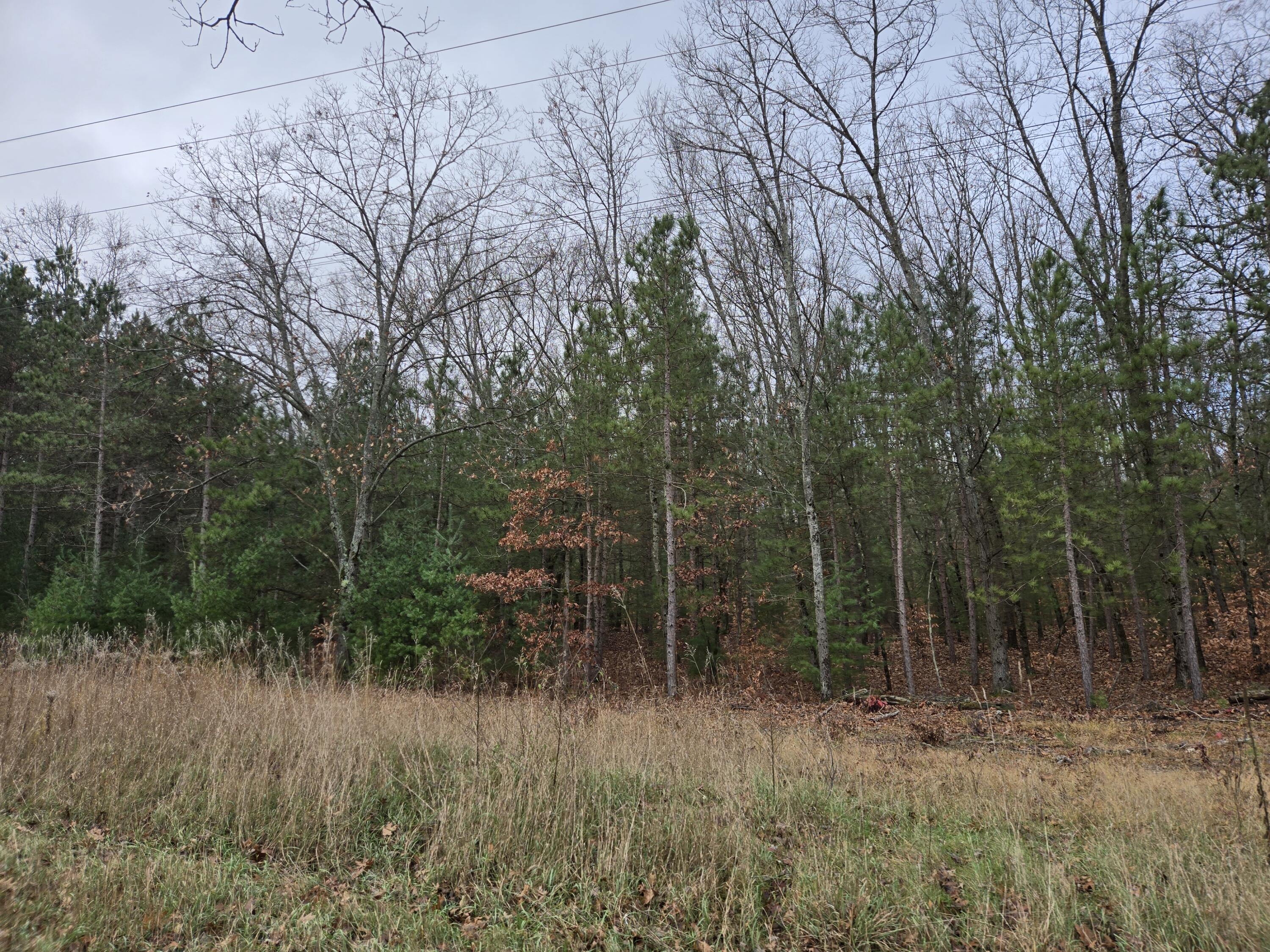 Vl N Felch Avenue Property Photo 2