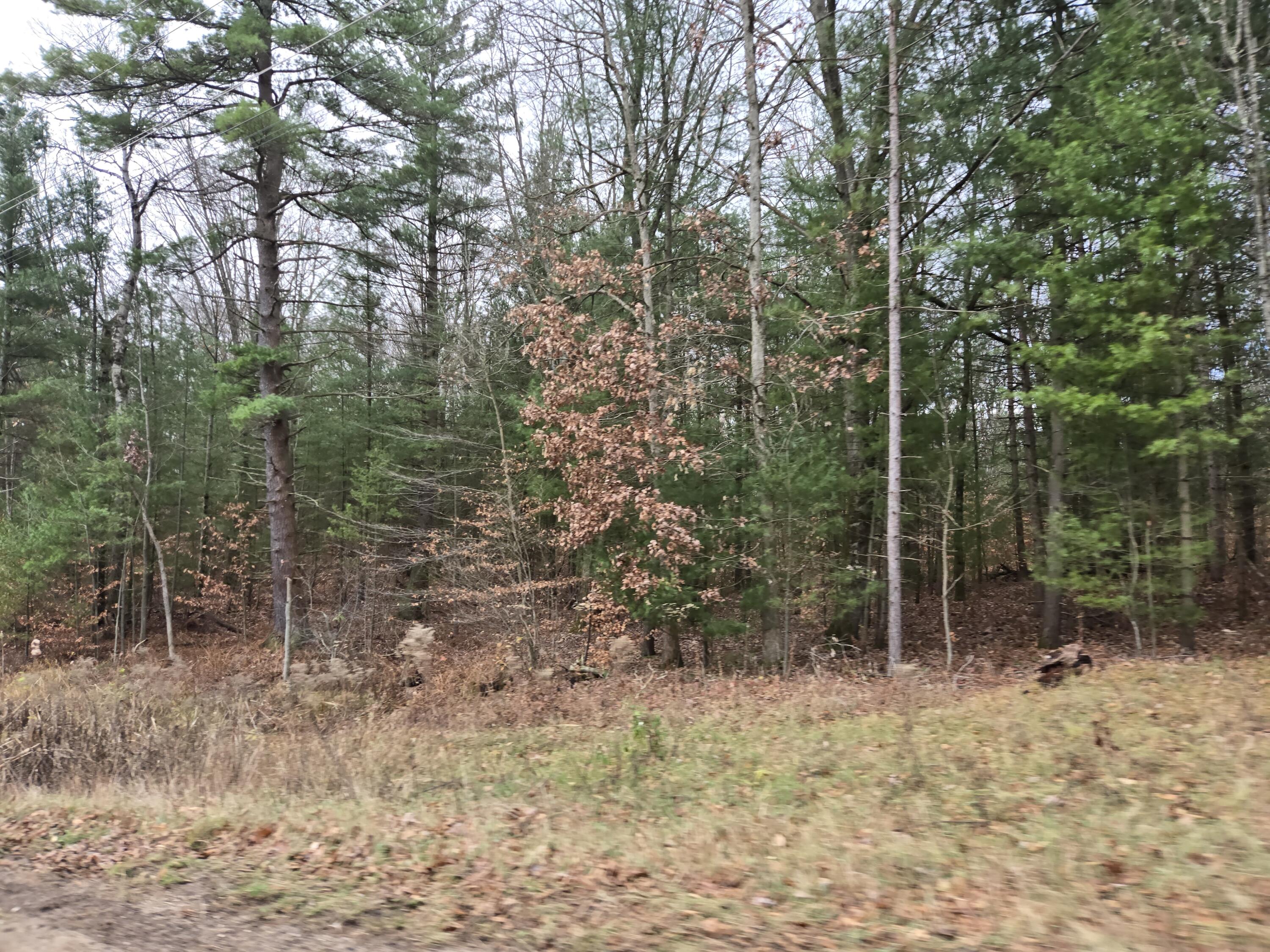 Vl N Felch Avenue Property Photo 3