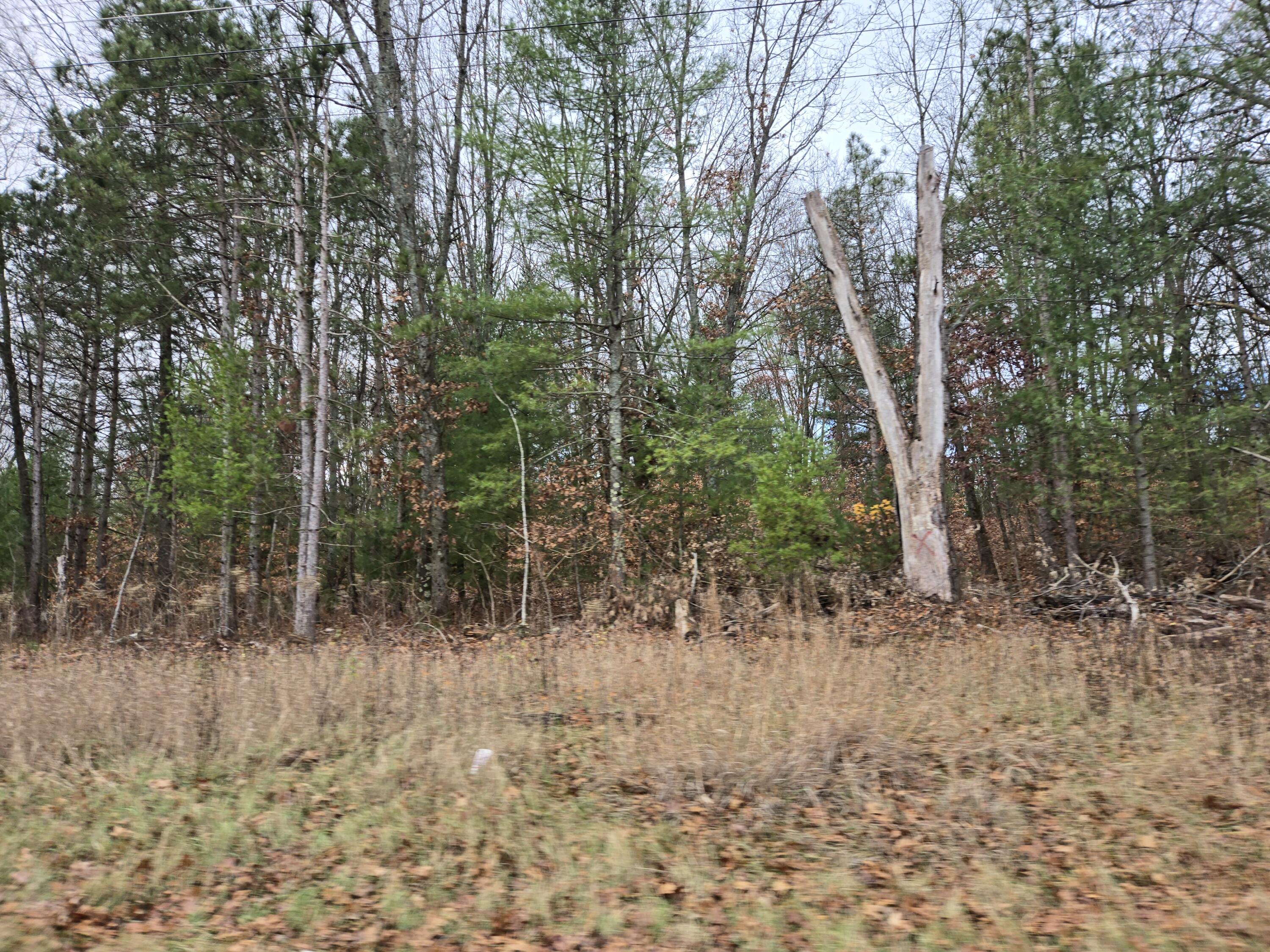 Vl N Felch Avenue Property Photo 4