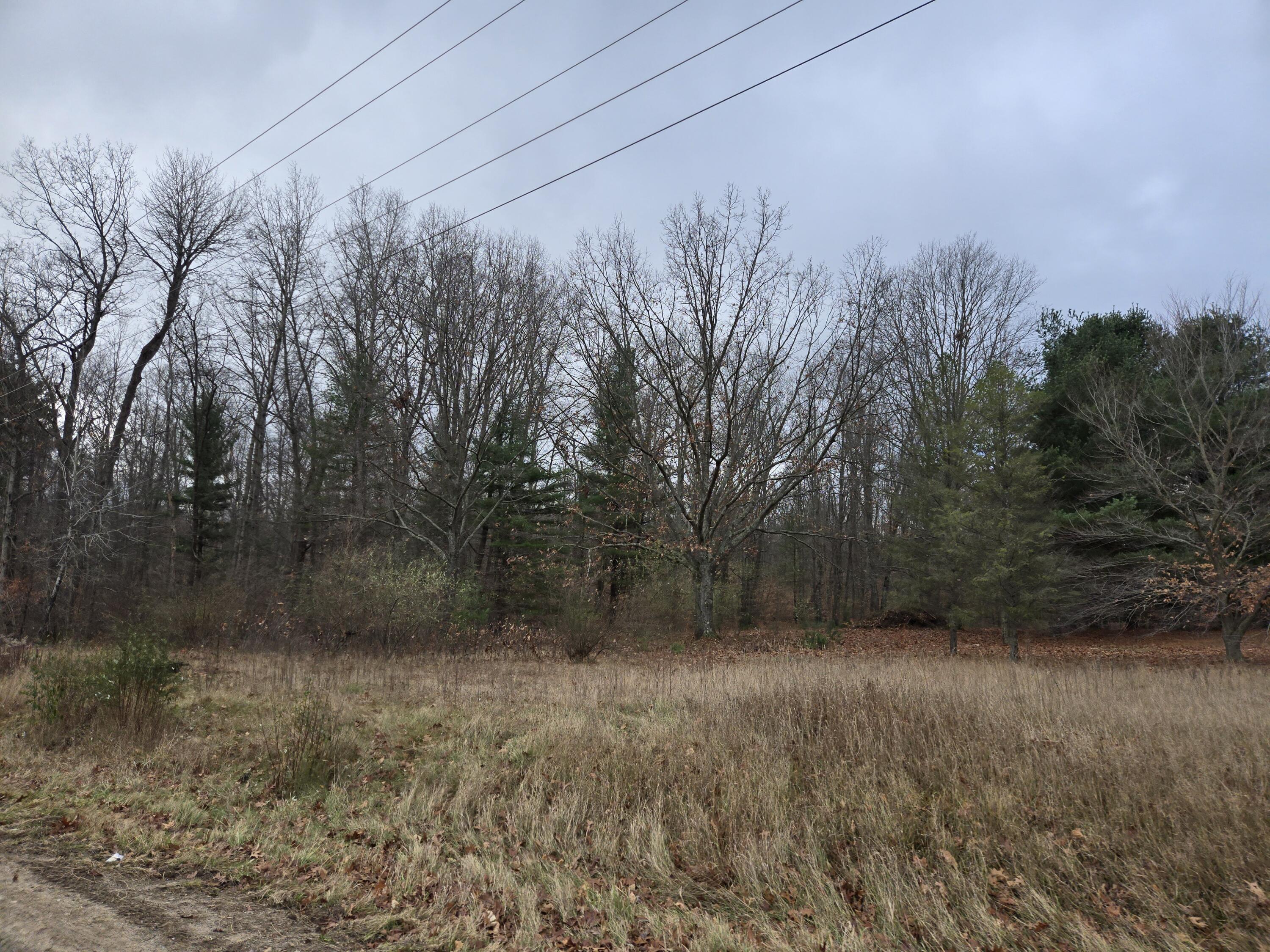 Vl N Felch Avenue Property Photo 5