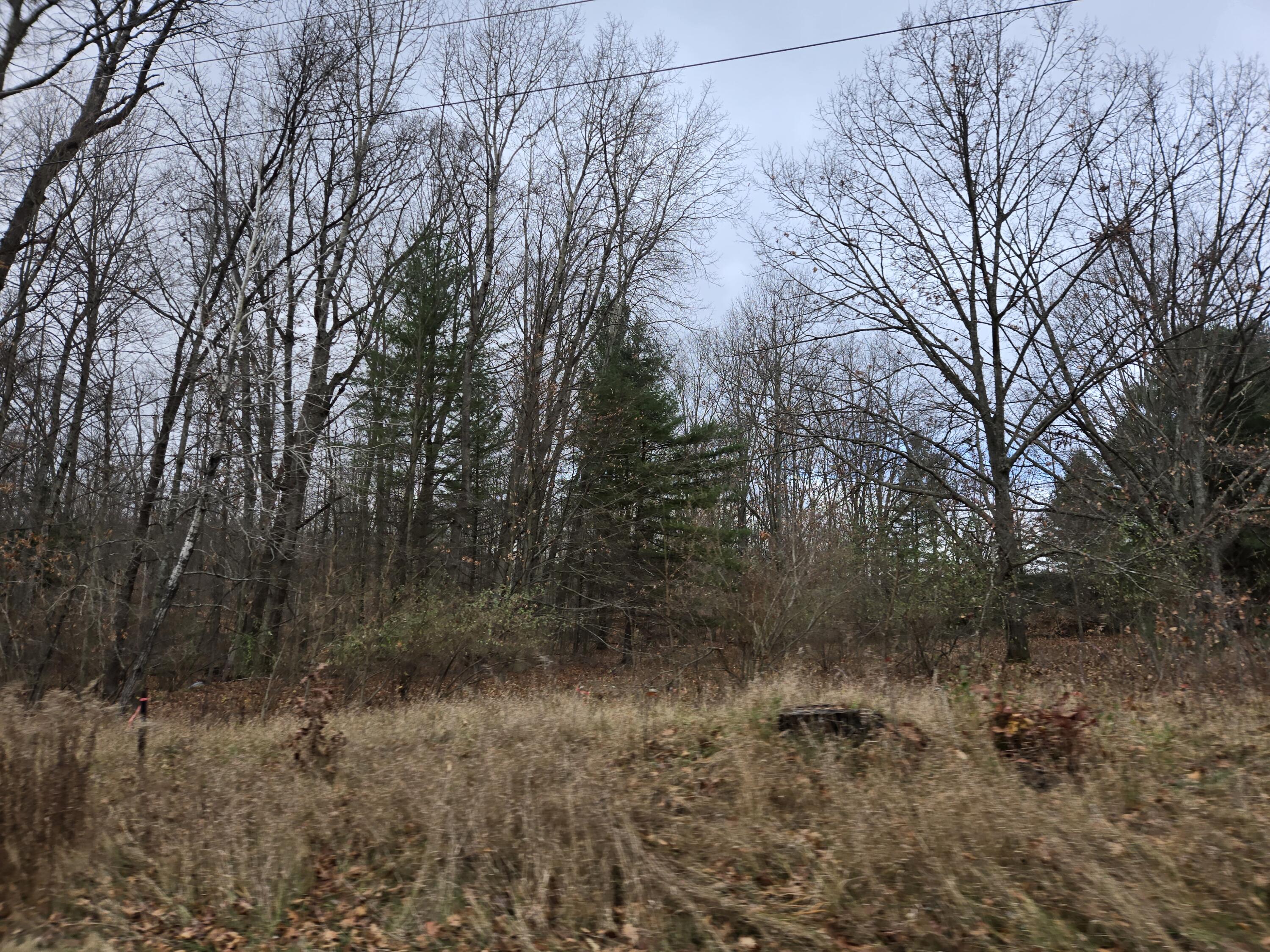 Vl N Felch Avenue Property Photo 6