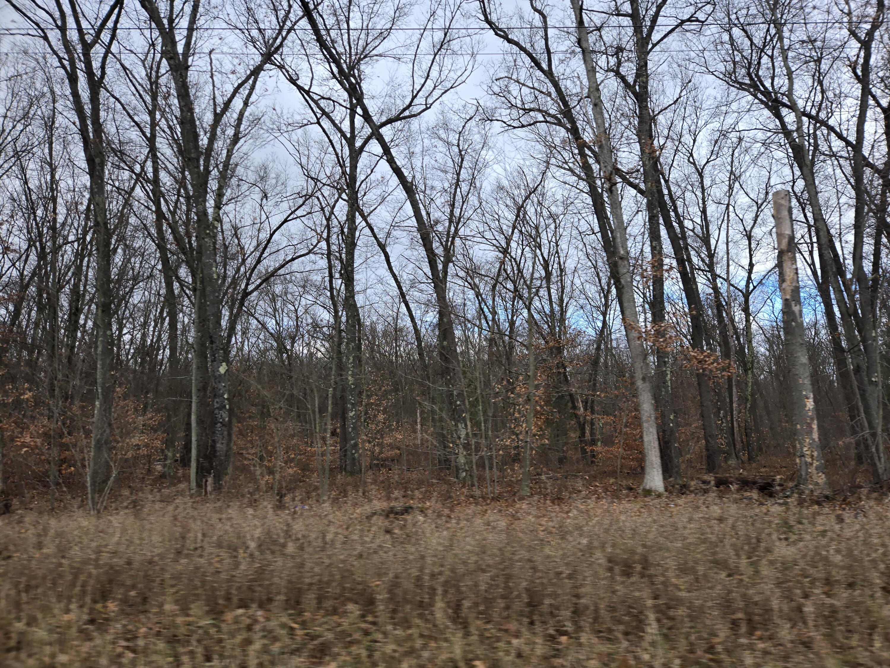 Vl N Felch Avenue Property Photo 7