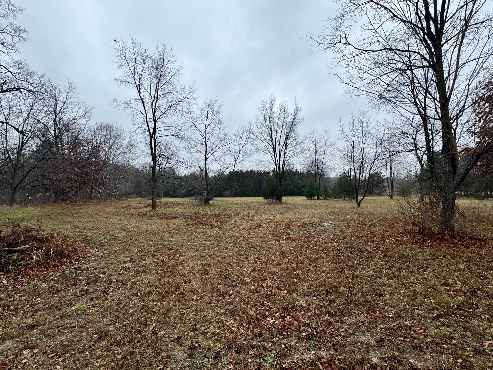 9163 M-20 Property Photo 7