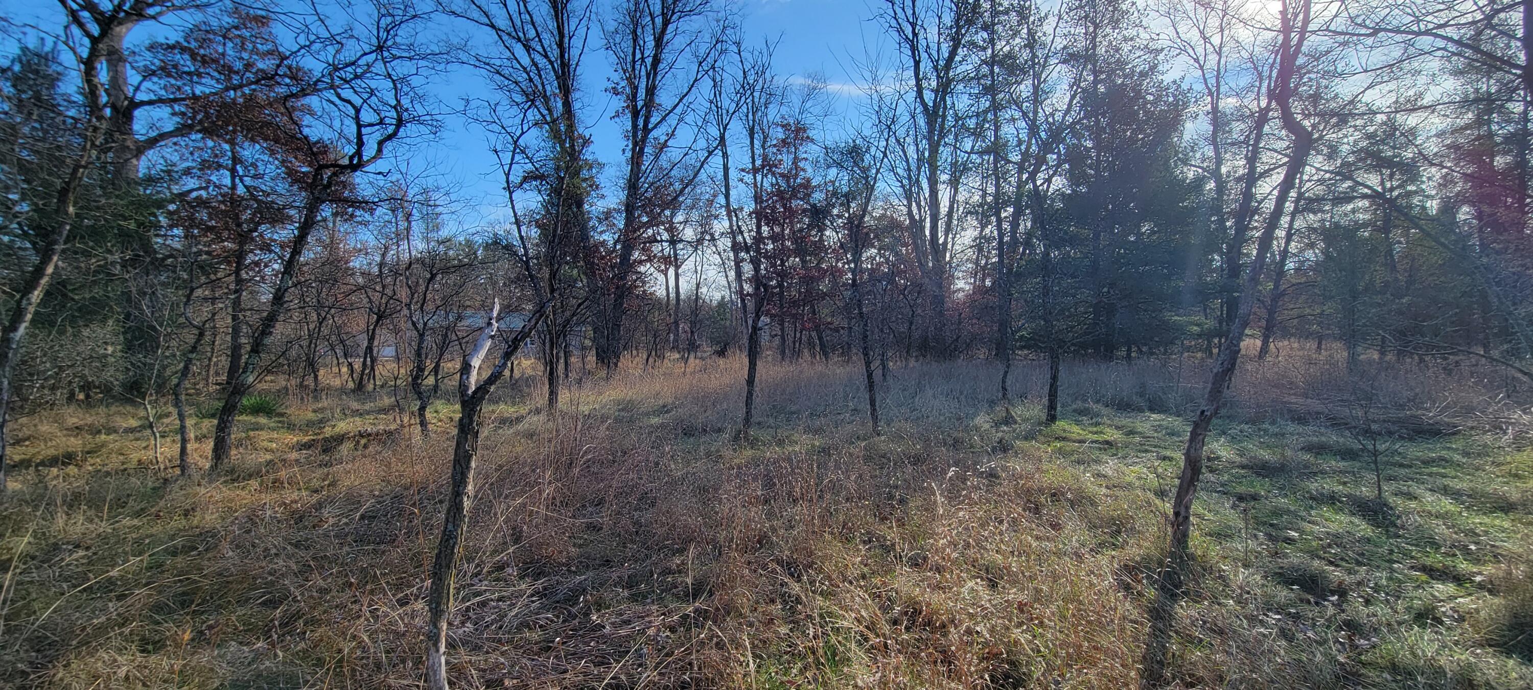 V/l Cherry Street Property Photo 1