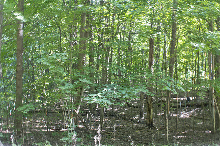 54137 Indian Lake Road Property Photo 5