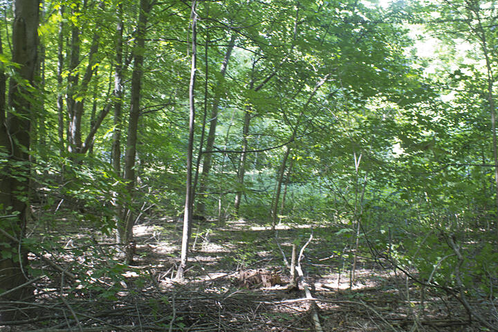 54137 Indian Lake Road Property Photo 6
