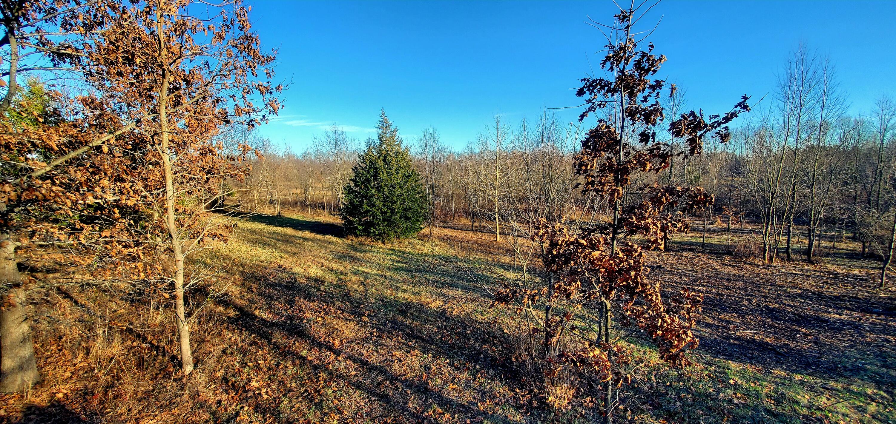 7596 2 1/2 Mile Road Property Photo 10
