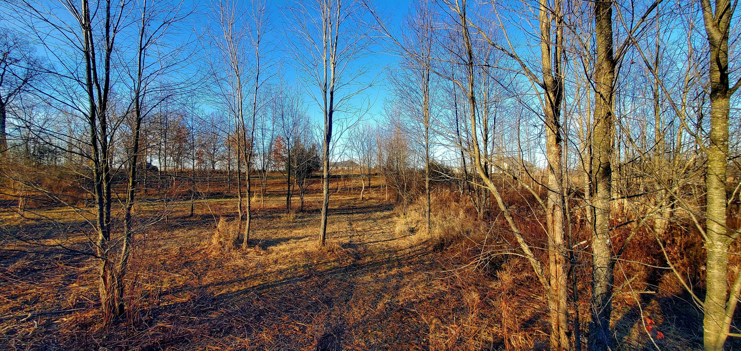 7596 2 1/2 Mile Road Property Photo 12