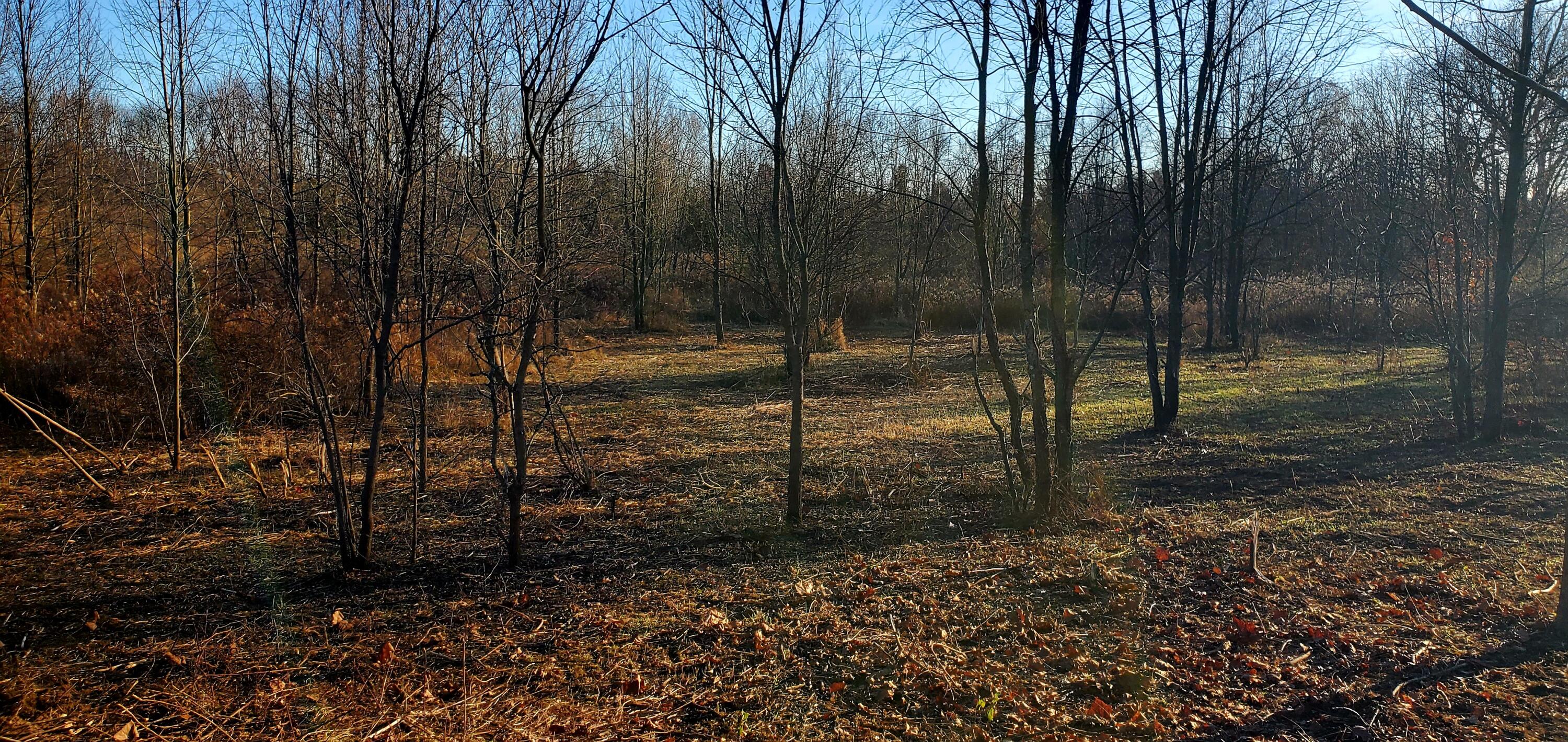 7596 2 1/2 Mile Road Property Photo 13