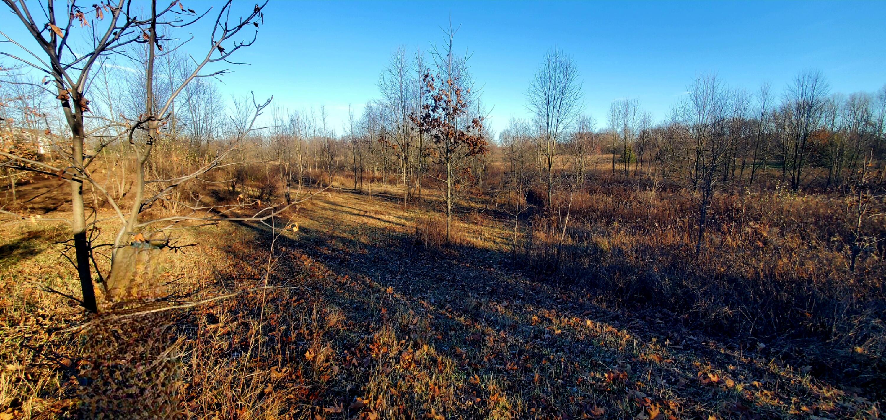 7596 2 1/2 Mile Road Property Photo 15