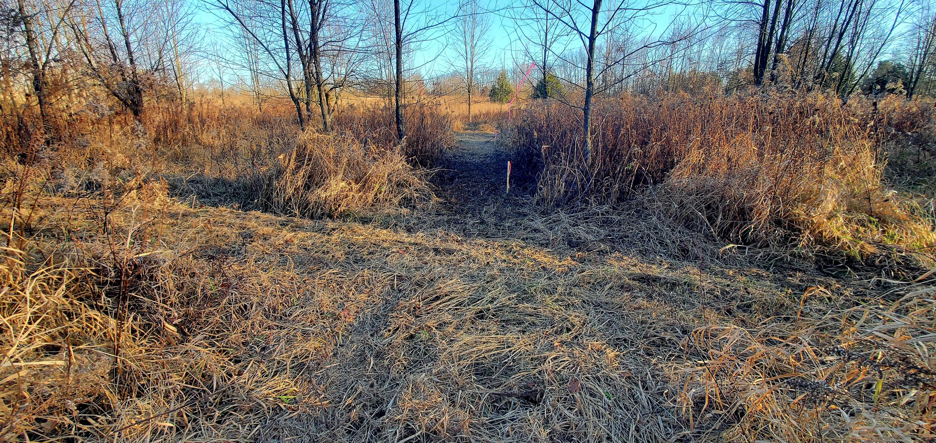 7596 2 1/2 Mile Road Property Photo 16