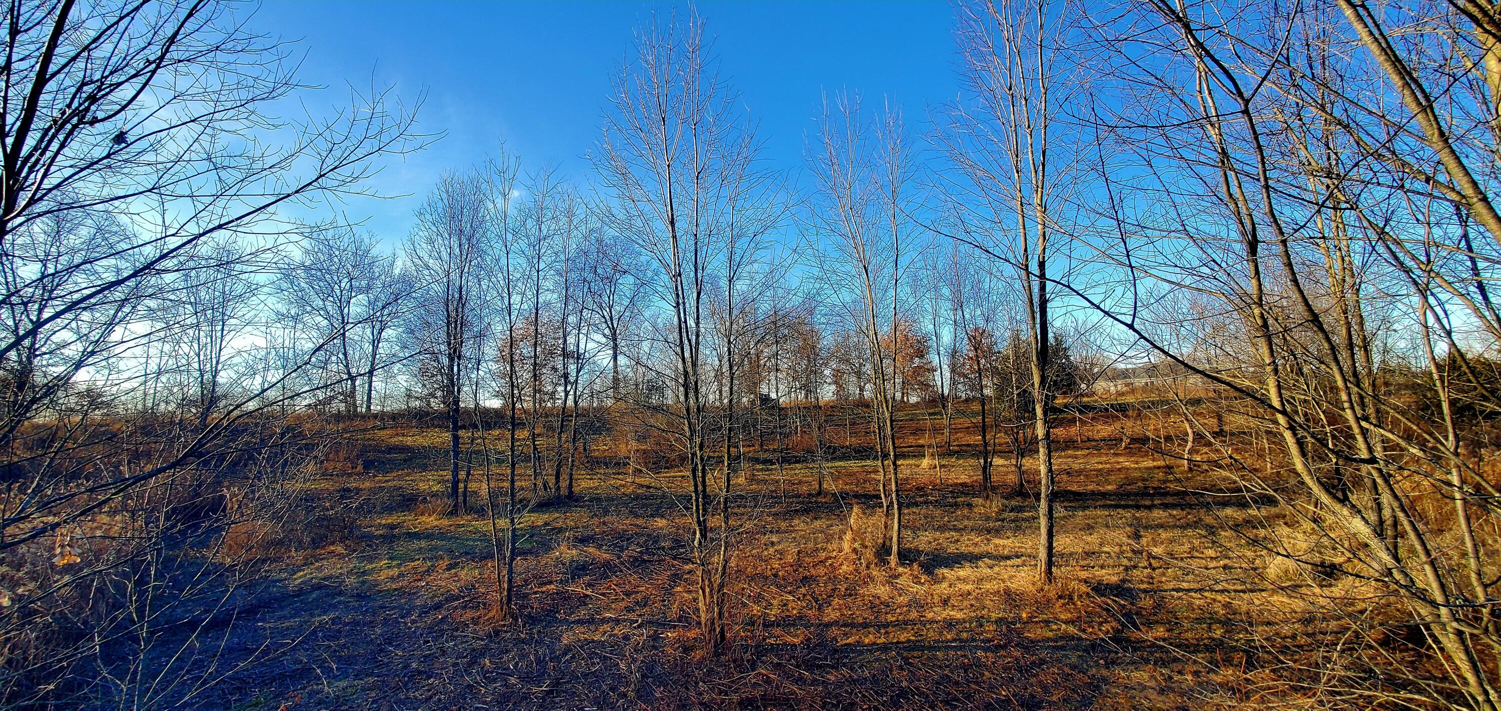 7596 2 1/2 Mile Road Property Photo 17