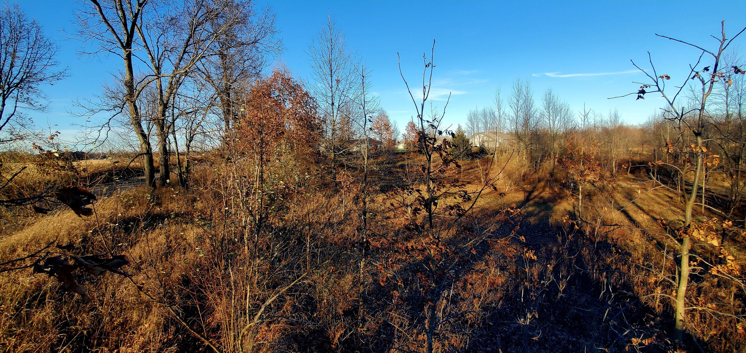 7596 2 1/2 Mile Road Property Photo 18