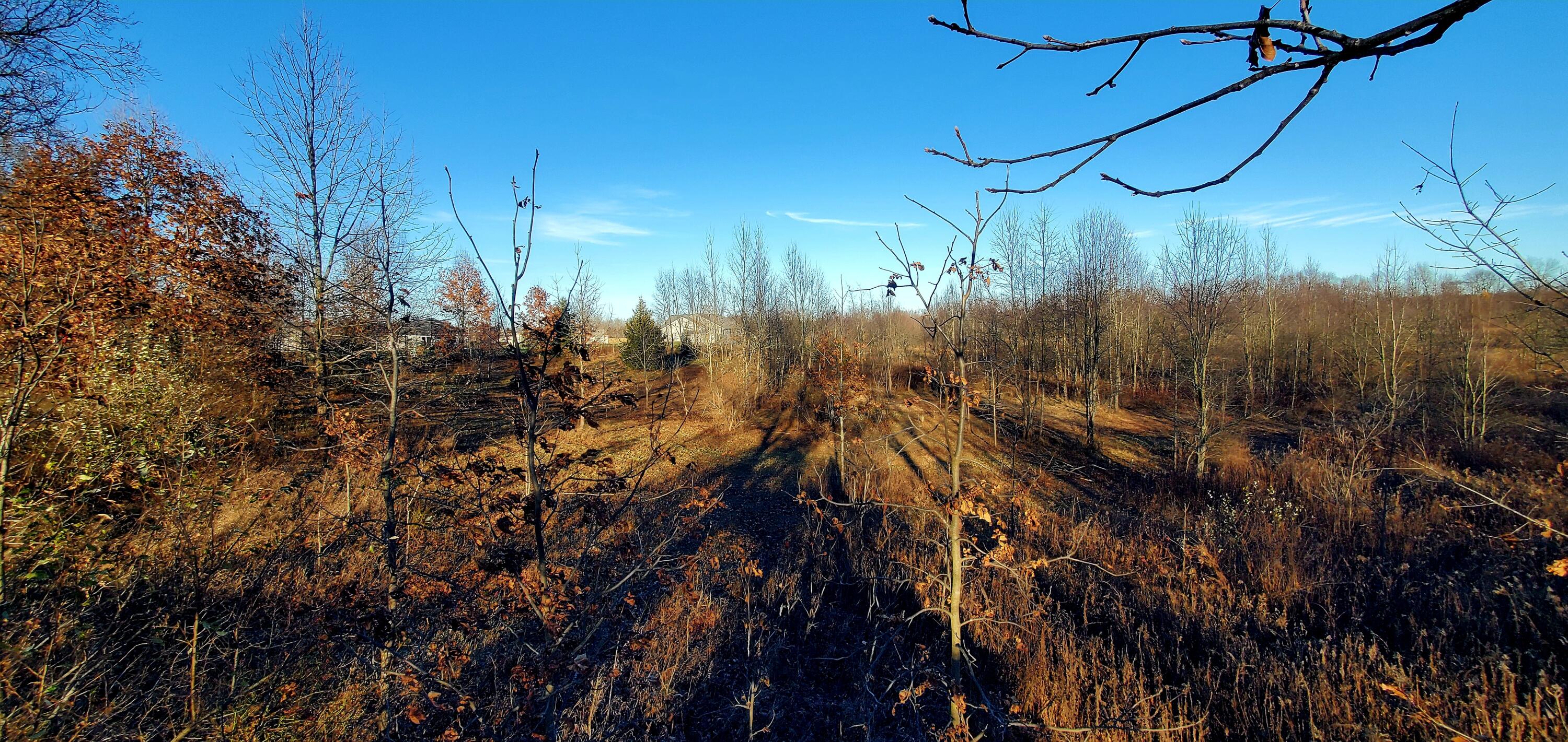 7596 2 1/2 Mile Road Property Photo 19