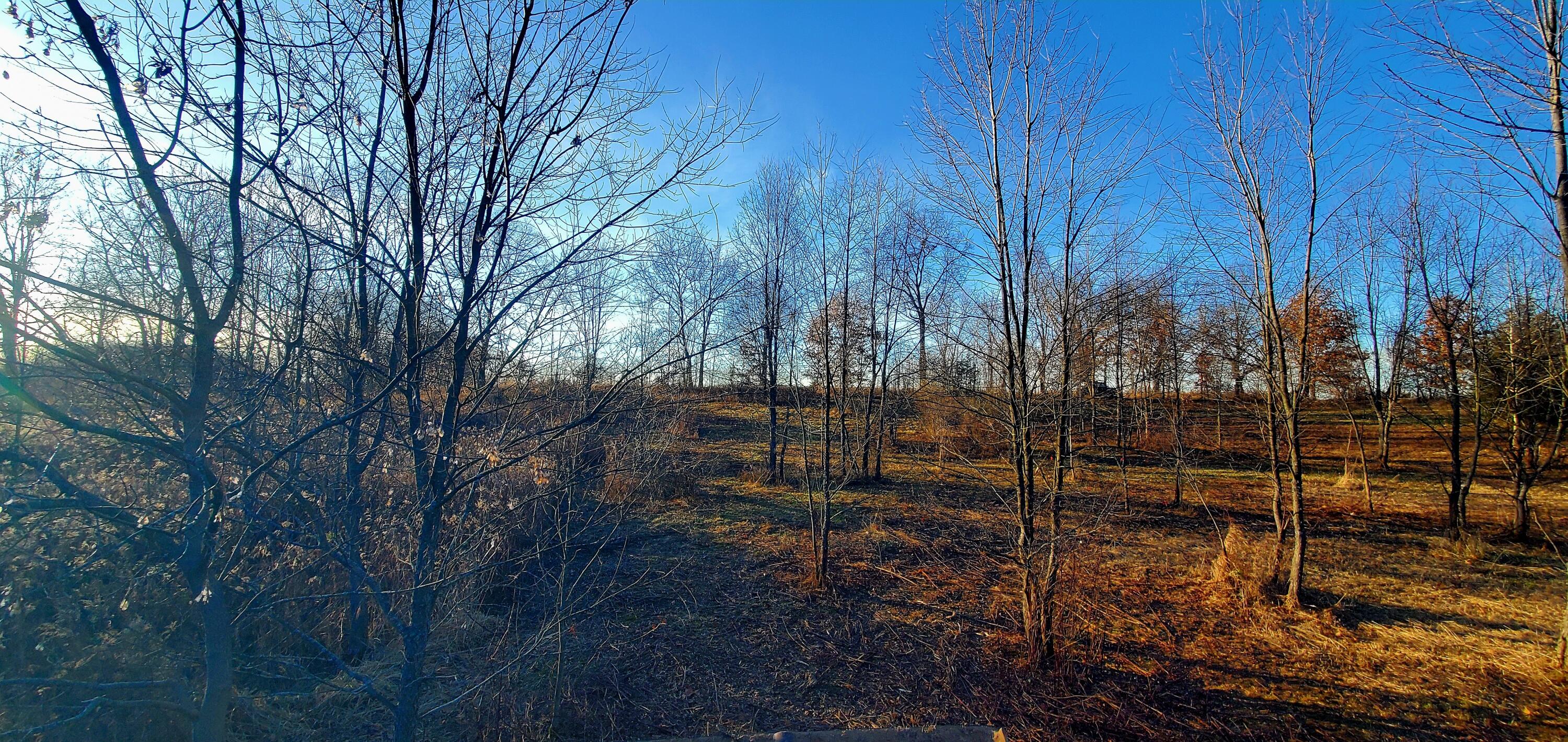 7596 2 1/2 Mile Road Property Photo 25