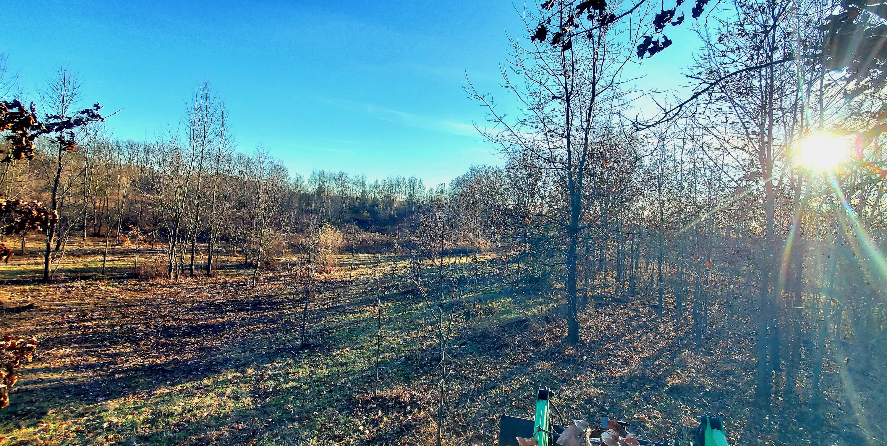 7596 2 1/2 Mile Road Property Photo 26