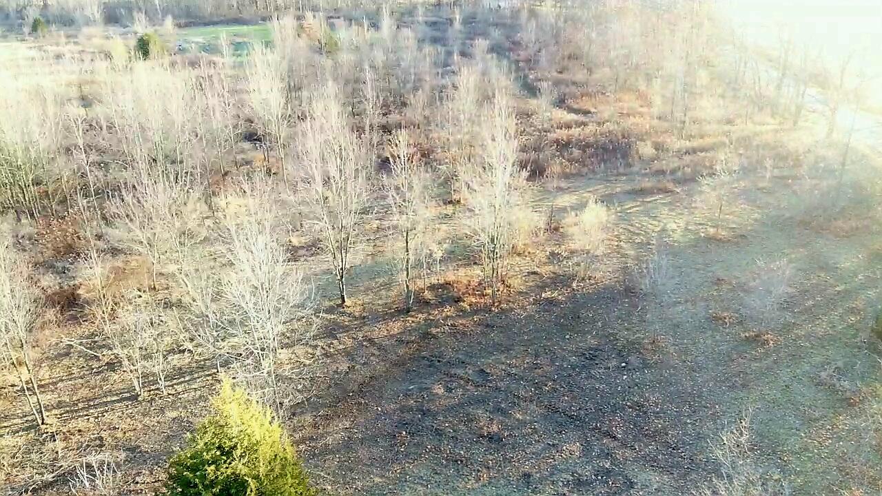 7596 2 1/2 Mile Road Property Photo 29