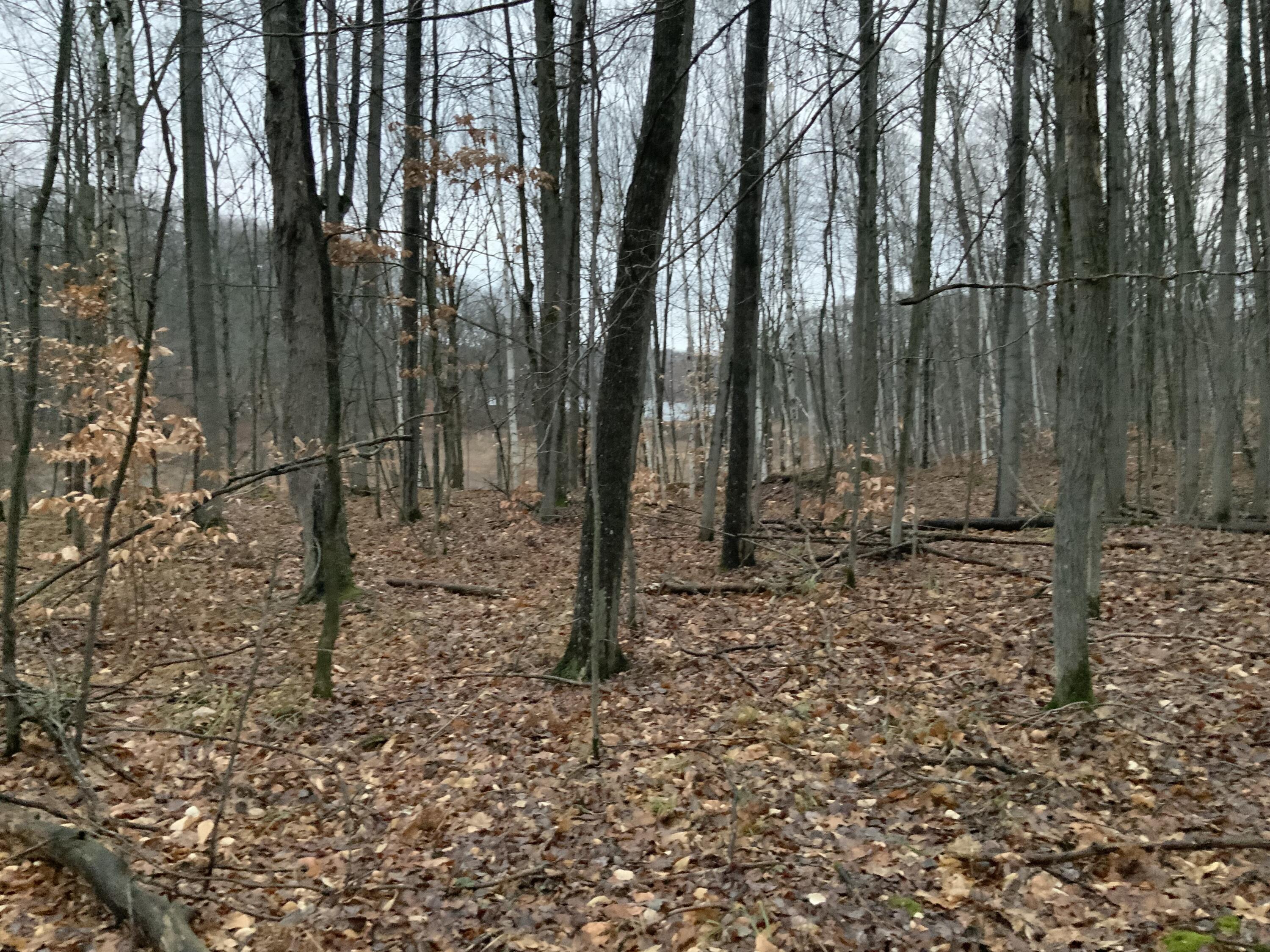 Bern Drive, Lot 31 Property Photo